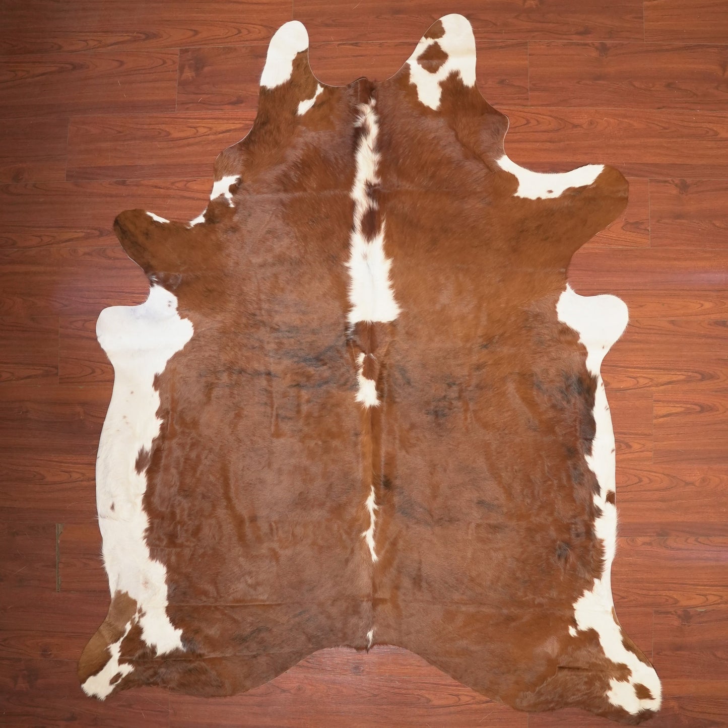 The Nguni Guy Nguni cowhide African decor Authentic cowhide Home decor Interior design Unique pattern Hand-selected Premium quality Natural beauty Exotic rug Genuine hide Statement piece Contemporary style Ethically sourced Sustainable decor Versatile accent Luxury rug Designer piece Modern aesthetic High-end craftsmanship Timeless elegance Designer home accents
