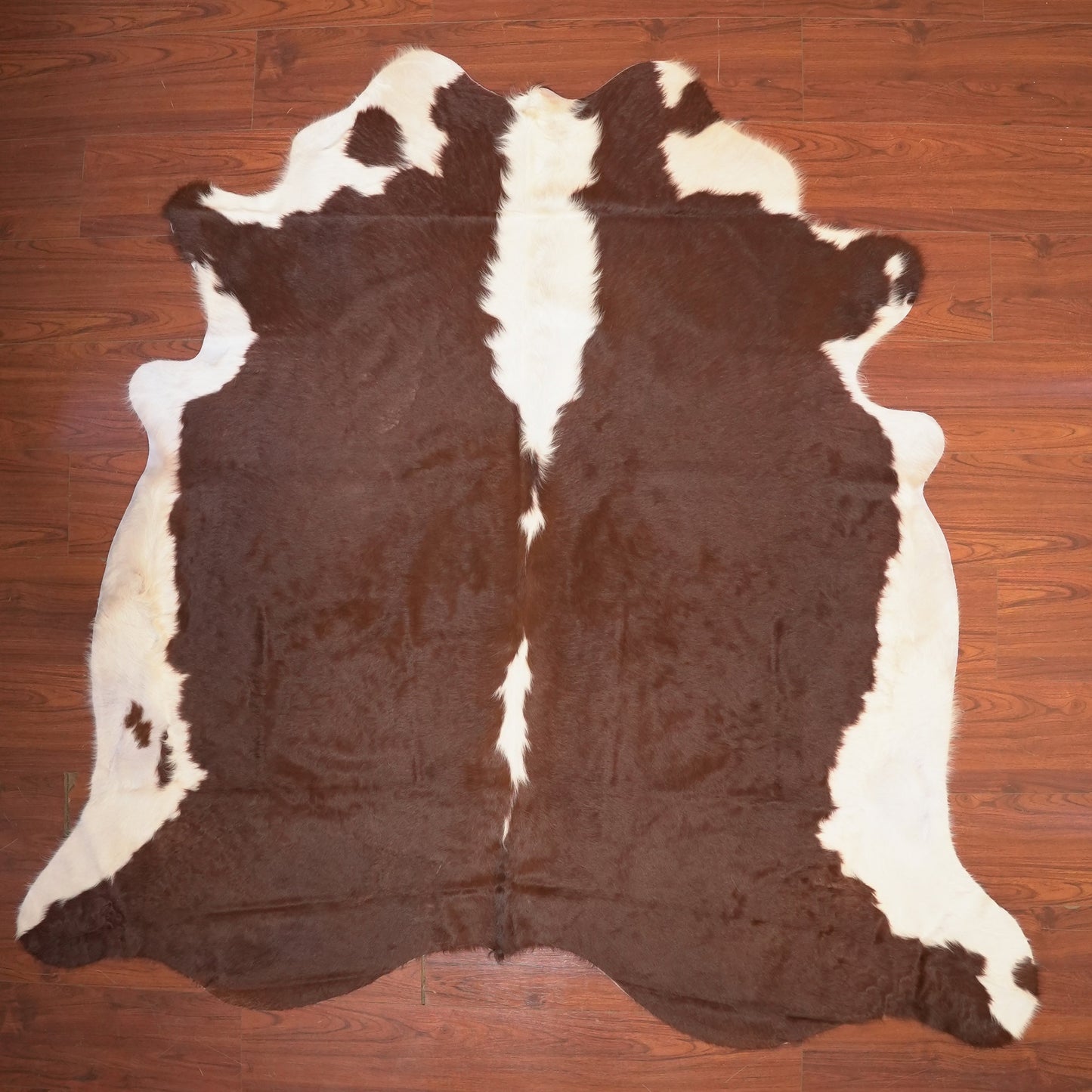 The Nguni Guy Nguni cowhide African decor Authentic cowhide Home decor Interior design Unique pattern Hand-selected Premium quality Natural beauty Exotic rug Genuine hide Statement piece Contemporary style Ethically sourced Sustainable decor Versatile accent Luxury rug Designer piece Modern aesthetic High-end craftsmanship Timeless elegance Designer home accents
