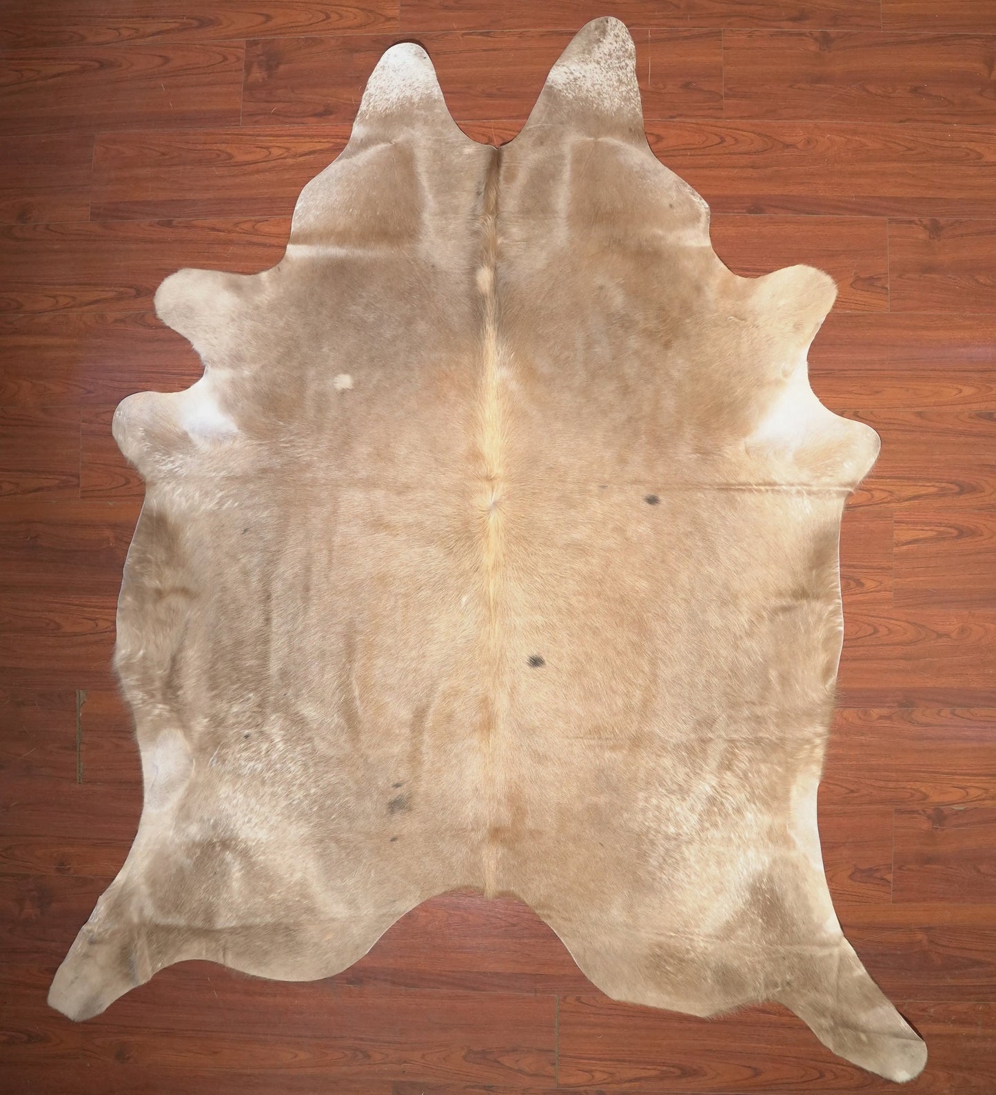 The Nguni Guy Nguni cowhide African decor Authentic cowhide Home decor Interior design Unique pattern Hand-selected Premium quality Natural beauty Exotic rug Genuine hide Statement piece Contemporary style Ethically sourced Sustainable decor Versatile accent Luxury rug Designer piece Modern aesthetic High-end craftsmanship Timeless elegance Designer home accents
