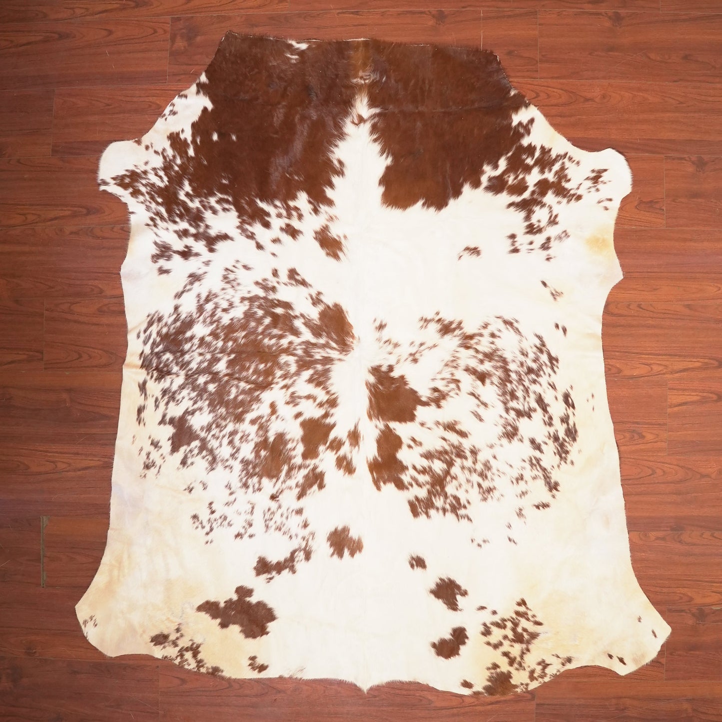 The Nguni Guy Nguni cowhide African decor Authentic cowhide Home decor Interior design Unique pattern Hand-selected Premium quality Natural beauty Exotic rug Genuine hide Statement piece Contemporary style Ethically sourced Sustainable decor Versatile accent Luxury rug Designer piece Modern aesthetic High-end craftsmanship Timeless elegance Designer home accents
