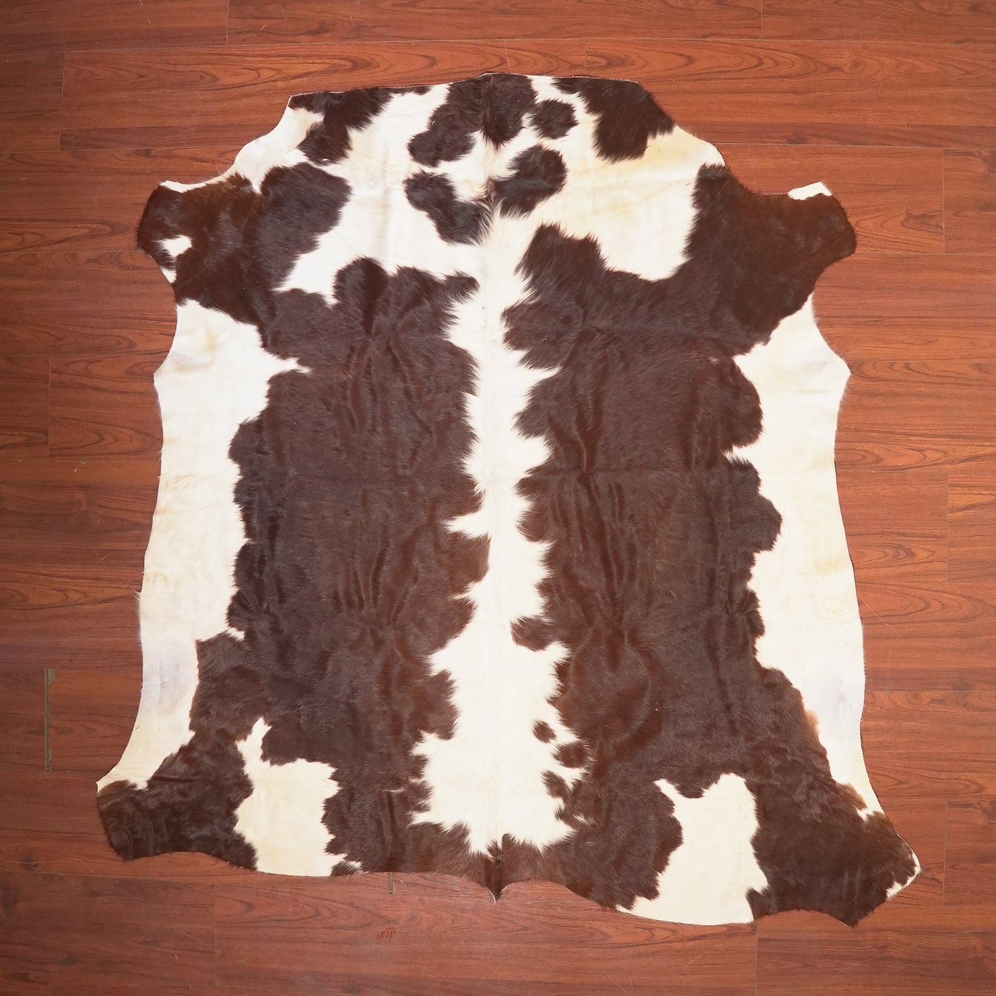 The Nguni Guy Nguni cowhide African decor Authentic cowhide Home decor Interior design Unique pattern Hand-selected Premium quality Natural beauty Exotic rug Genuine hide Statement piece Contemporary style Ethically sourced Sustainable decor Versatile accent Luxury rug Designer piece Modern aesthetic High-end craftsmanship Timeless elegance Designer home accents
