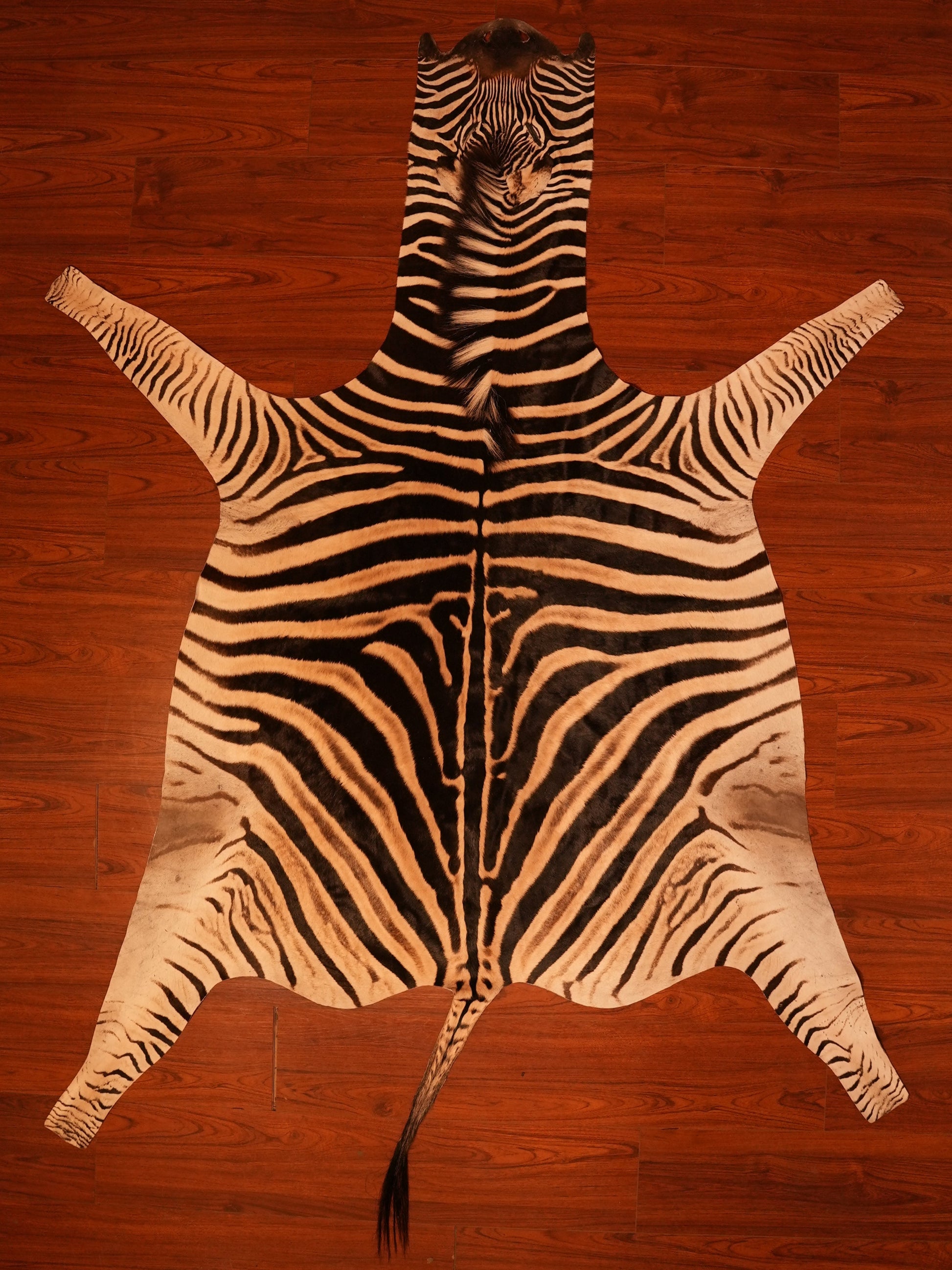 the nguni guy zebra hide rug animal skin carpet