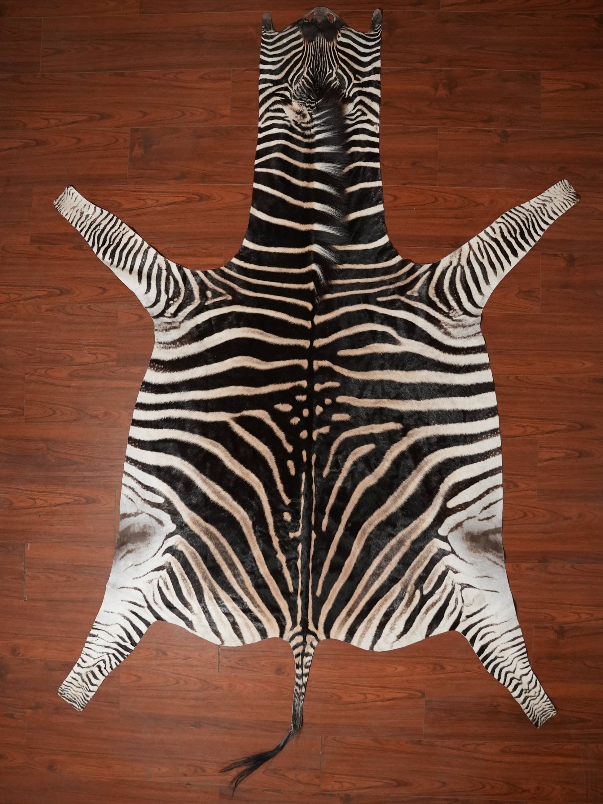 Zebra skin rug on a wooden floor