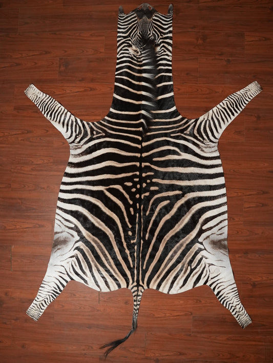 Zebra skin rug on a wooden floor