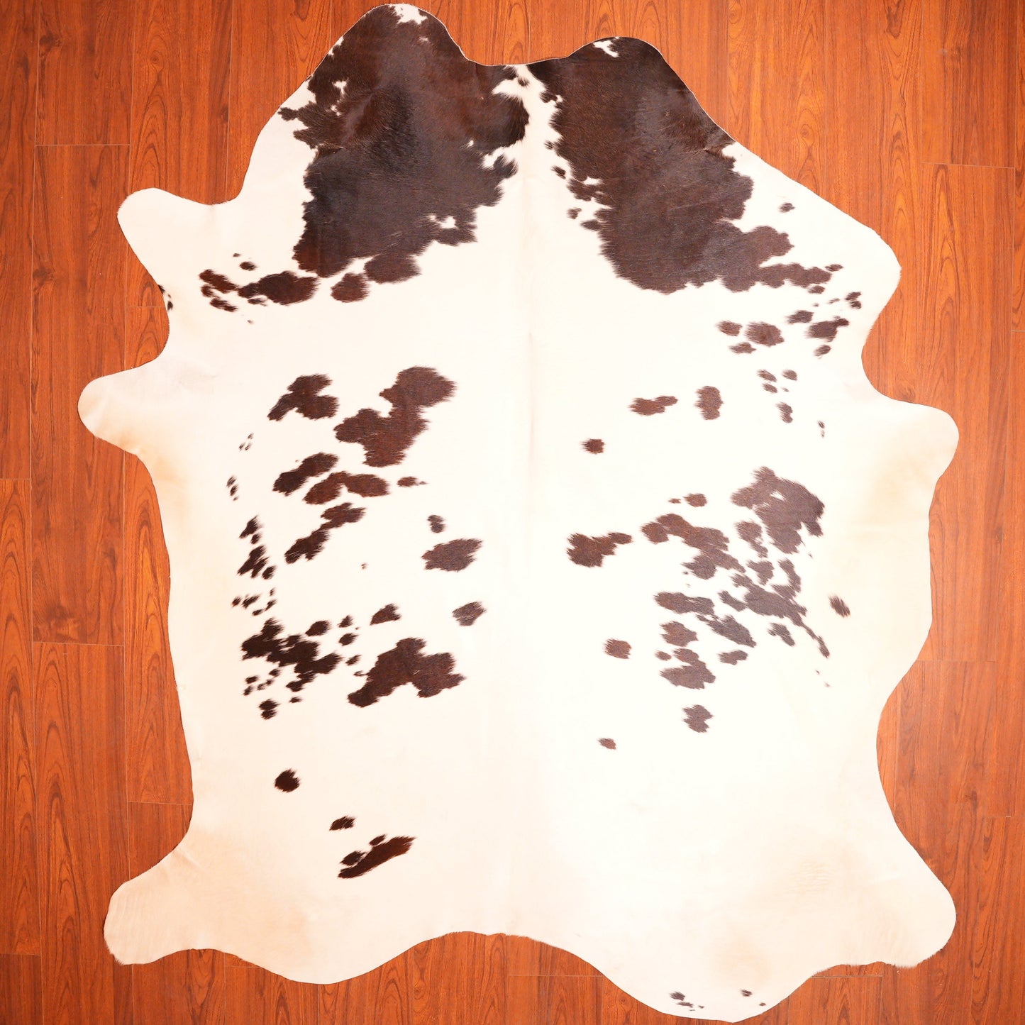 The Nguni Guy Nguni cowhide African decor Authentic cowhide Home decor Interior design Unique pattern Hand-selected Premium quality Natural beauty Exotic rug Genuine hide Statement piece Contemporary style Ethically sourced Sustainable decor Versatile accent Luxury rug Designer piece Modern aesthetic High-end craftsmanship Timeless elegance Designer home accents