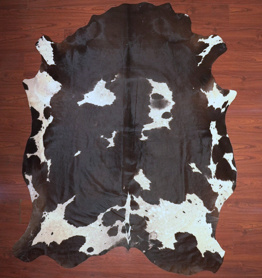 The Nguni Guy Nguni cowhide African decor Authentic cowhide Home decor Interior design Unique pattern Hand-selected Premium quality Natural beauty Exotic rug Genuine hide Statement piece Contemporary style Ethically sourced Sustainable decor Versatile accent Luxury rug Designer piece Modern aesthetic High-end craftsmanship Timeless elegance Designer home accents
