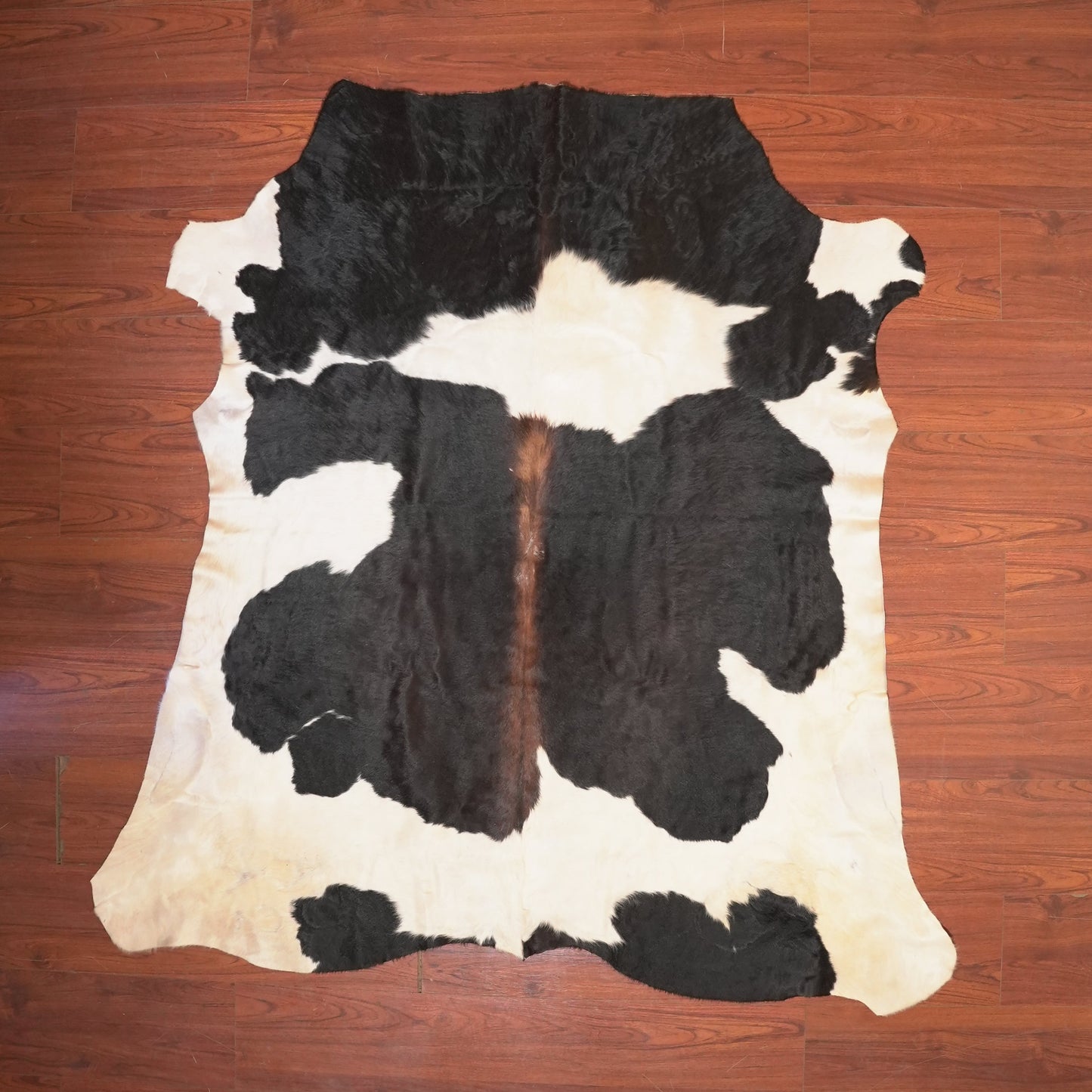 The Nguni Guy Nguni cowhide African decor Authentic cowhide Home decor Interior design Unique pattern Hand-selected Premium quality Natural beauty Exotic rug Genuine hide Statement piece Contemporary style Ethically sourced Sustainable decor Versatile accent Luxury rug Designer piece Modern aesthetic High-end craftsmanship Timeless elegance Designer home accents

