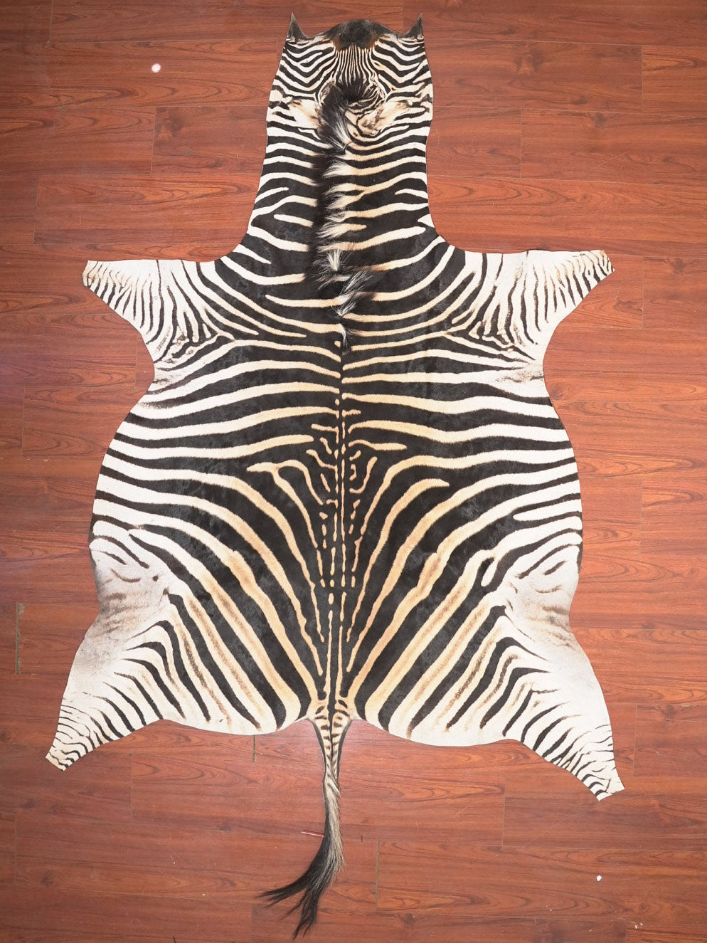 Zebra skin rug on a wooden floor