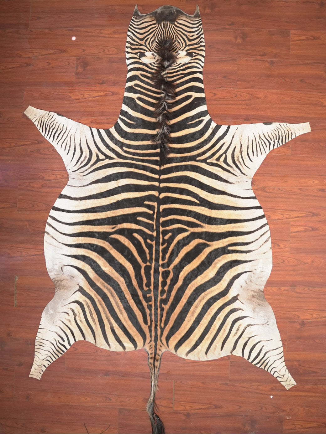 Zebra skin rug on a wooden floor