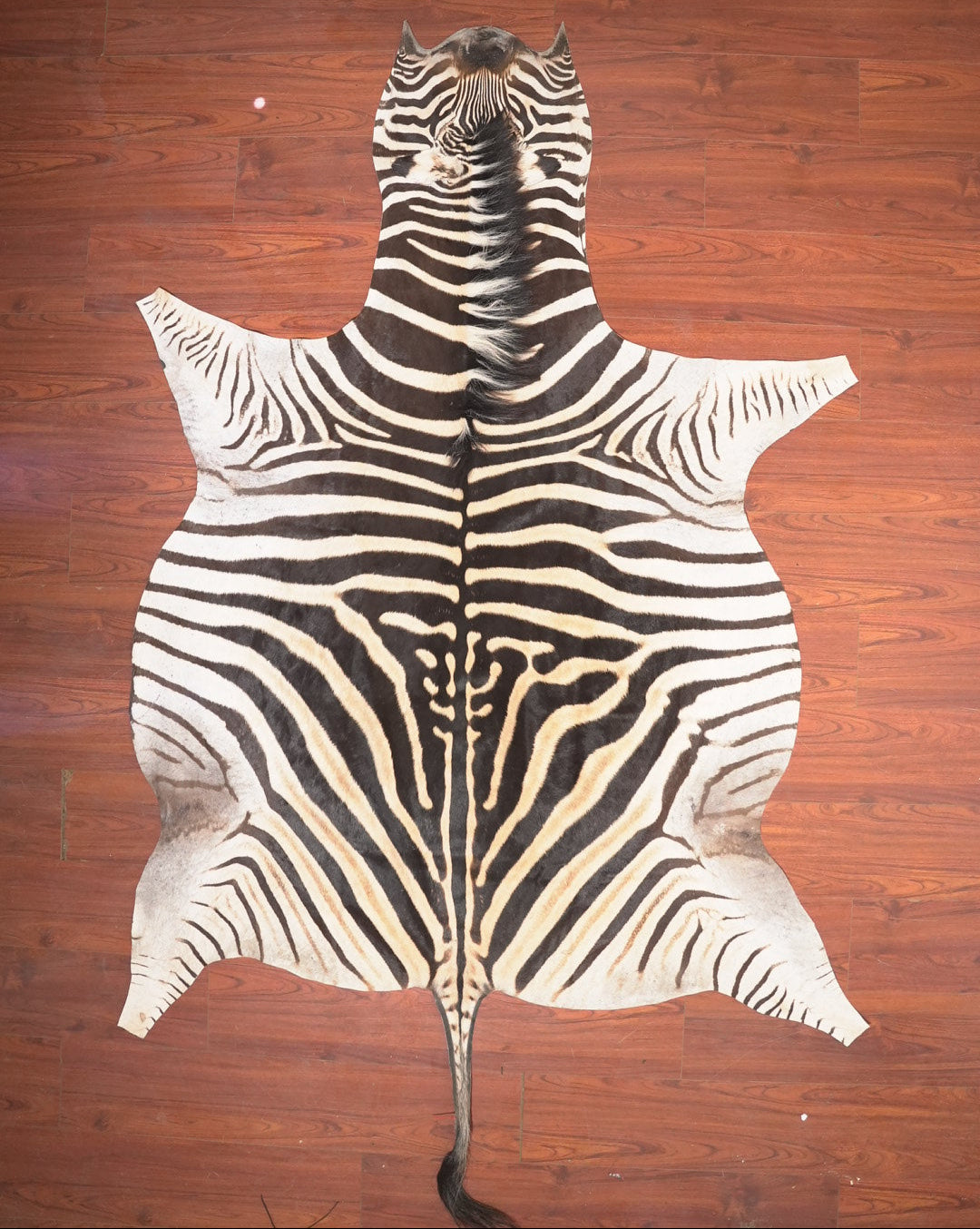 Zebra Hide Rug Decor