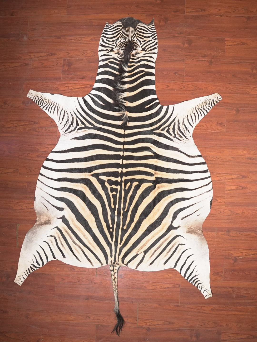 The Nguni Guy Nguni zebra hide African decor Authentic zebra skin Home decor Interior design Unique pattern Hand-selected Premium quality Natural beauty Exotic rug Genuine hide Statement piece Contemporary style Ethically sourced Sustainable decor Versatile accent Luxury rug Designer piece Modern aesthetic High-end craftsmanship Timeless elegance Designer home accents