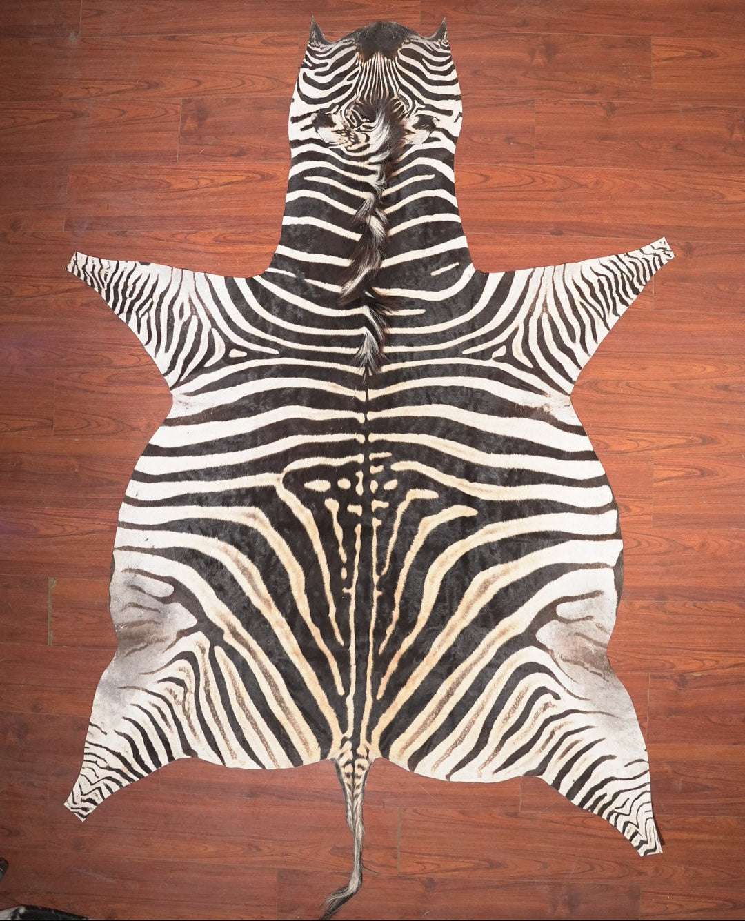 The Nguni Guy Nguni zebra hide African decor Authentic zebra skin Home decor Interior design Unique pattern Hand-selected Premium quality Natural beauty Exotic rug Genuine hide Statement piece Contemporary style Ethically sourced Sustainable decor Versatile accent Luxury rug Designer piece Modern aesthetic High-end craftsmanship Timeless elegance Designer home accents