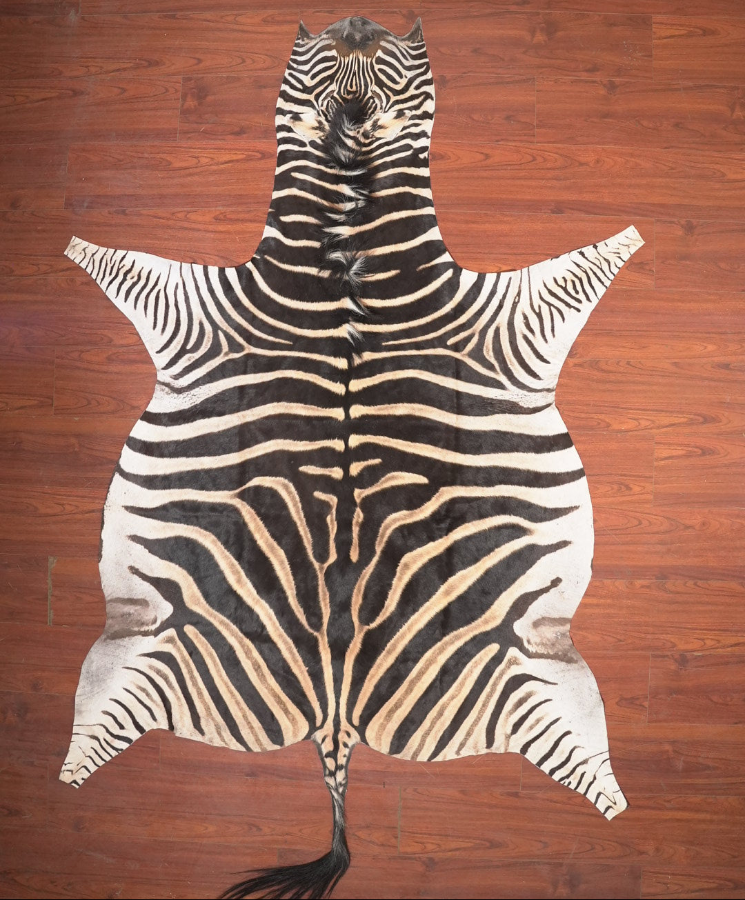 The Nguni Guy Nguni zebra hide African decor Authentic zebra skin Home decor Interior design Unique pattern Hand-selected Premium quality Natural beauty Exotic rug Genuine hide Statement piece Contemporary style Ethically sourced Sustainable decor Versatile accent Luxury rug Designer piece Modern aesthetic High-end craftsmanship Timeless elegance Designer home accents