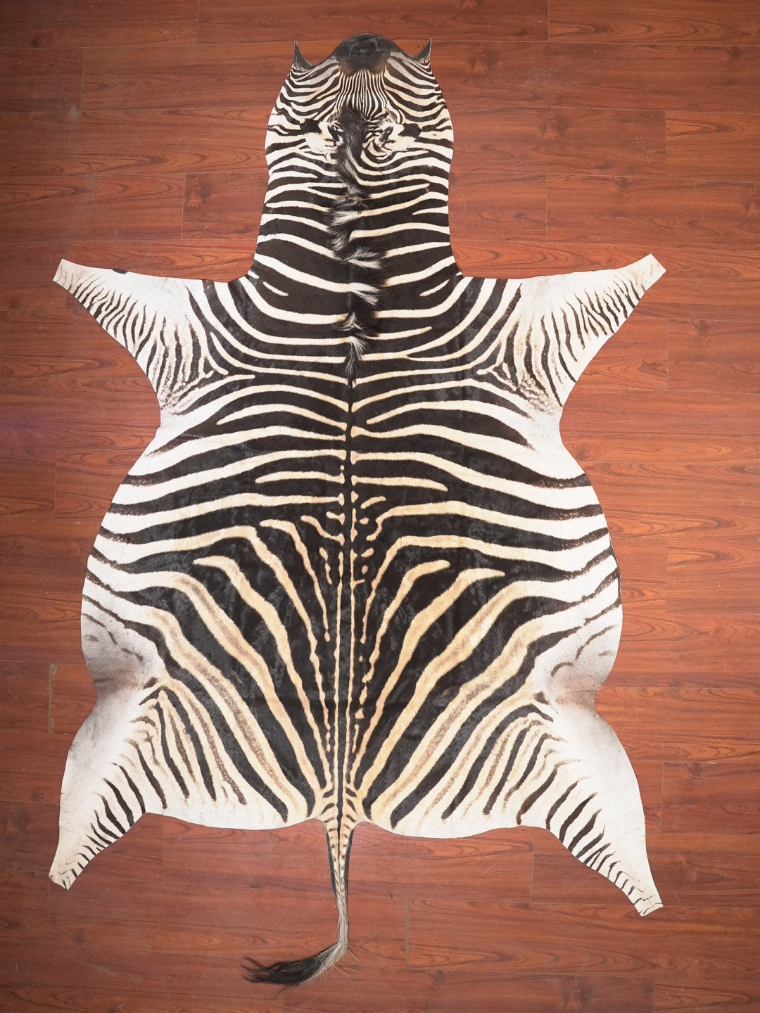 The Nguni Guy Nguni zebra hide African decor Authentic zebra skin Home decor Interior design Unique pattern Hand-selected Premium quality Natural beauty Exotic rug Genuine hide Statement piece Contemporary style Ethically sourced Sustainable decor Versatile accent Luxury rug Designer piece Modern aesthetic High-end craftsmanship Timeless elegance Designer home accents