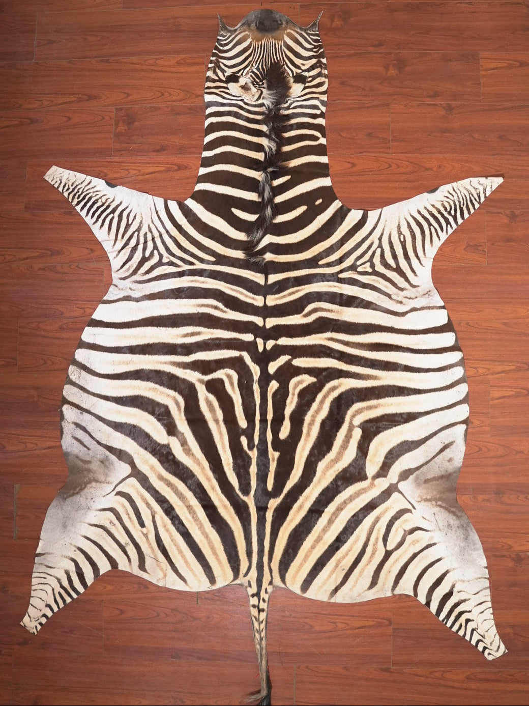 The Nguni Guy Nguni zebra hide African decor Authentic zebra skin Home decor Interior design Unique pattern Hand-selected Premium quality Natural beauty Exotic rug Genuine hide Statement piece Contemporary style Ethically sourced Sustainable decor Versatile accent Luxury rug Designer piece Modern aesthetic High-end craftsmanship Timeless elegance Designer home accents
