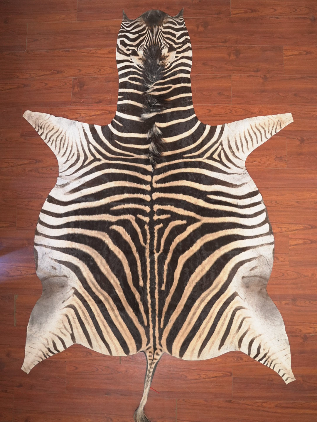 The Nguni Guy Nguni zebra hide African decor Authentic zebra skin Home decor Interior design Unique pattern Hand-selected Premium quality Natural beauty Exotic rug Genuine hide Statement piece Contemporary style Ethically sourced Sustainable decor Versatile accent Luxury rug Designer piece Modern aesthetic High-end craftsmanship Timeless elegance Designer home accents