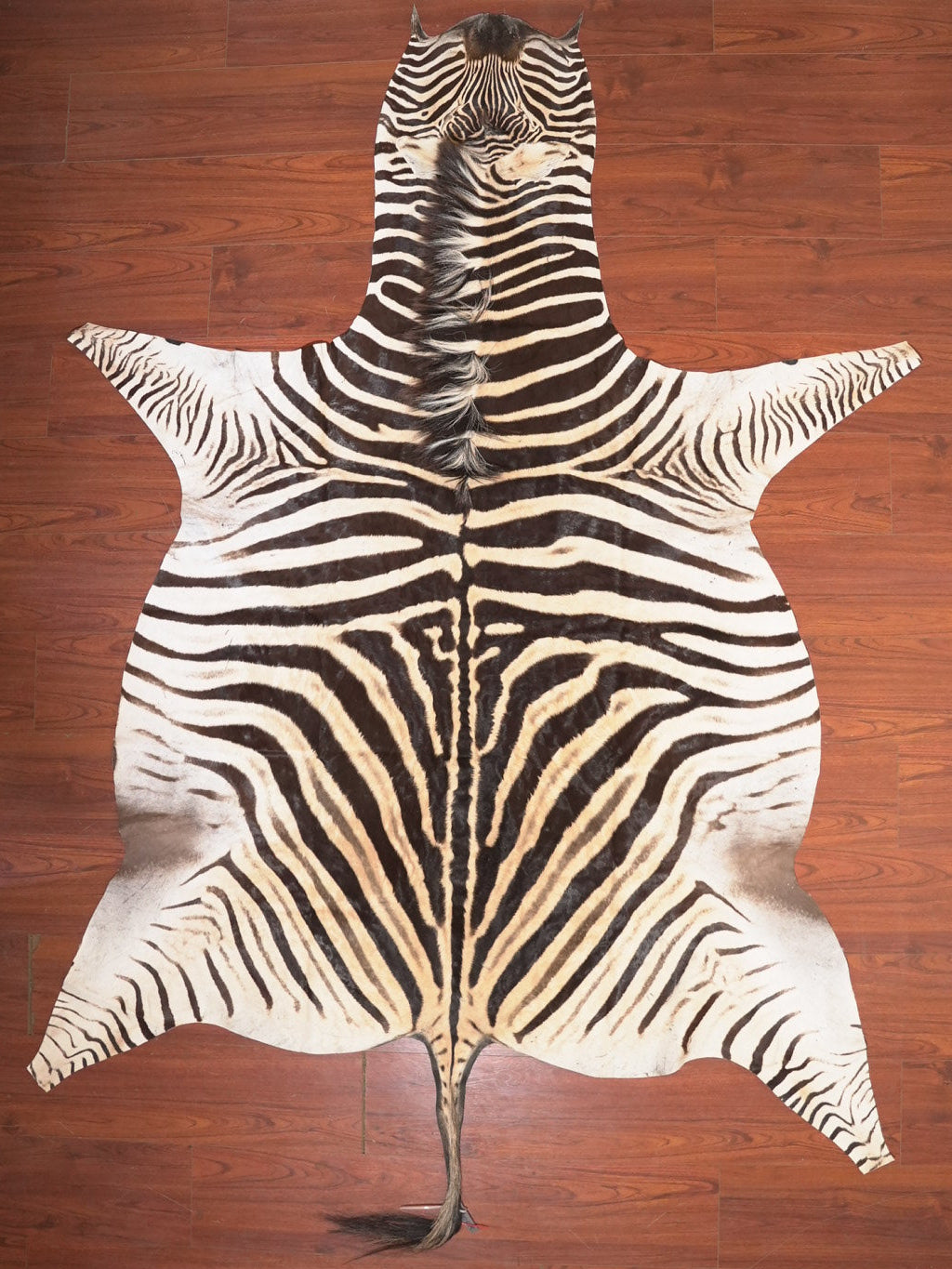 The Nguni Guy Nguni zebra hide African decor Authentic zebra skin Home decor Interior design Unique pattern Hand-selected Premium quality Natural beauty Exotic rug Genuine hide Statement piece Contemporary style Ethically sourced Sustainable decor Versatile accent Luxury rug Designer piece Modern aesthetic High-end craftsmanship Timeless elegance Designer home accents