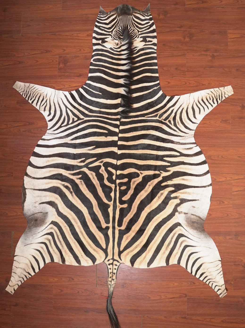 The Nguni Guy Nguni zebra hide African decor Authentic zebra skin Home decor Interior design Unique pattern Hand-selected Premium quality Natural beauty Exotic rug Genuine hide Statement piece Contemporary style Ethically sourced Sustainable decor Versatile accent Luxury rug Designer piece Modern aesthetic High-end craftsmanship Timeless elegance Designer home accents