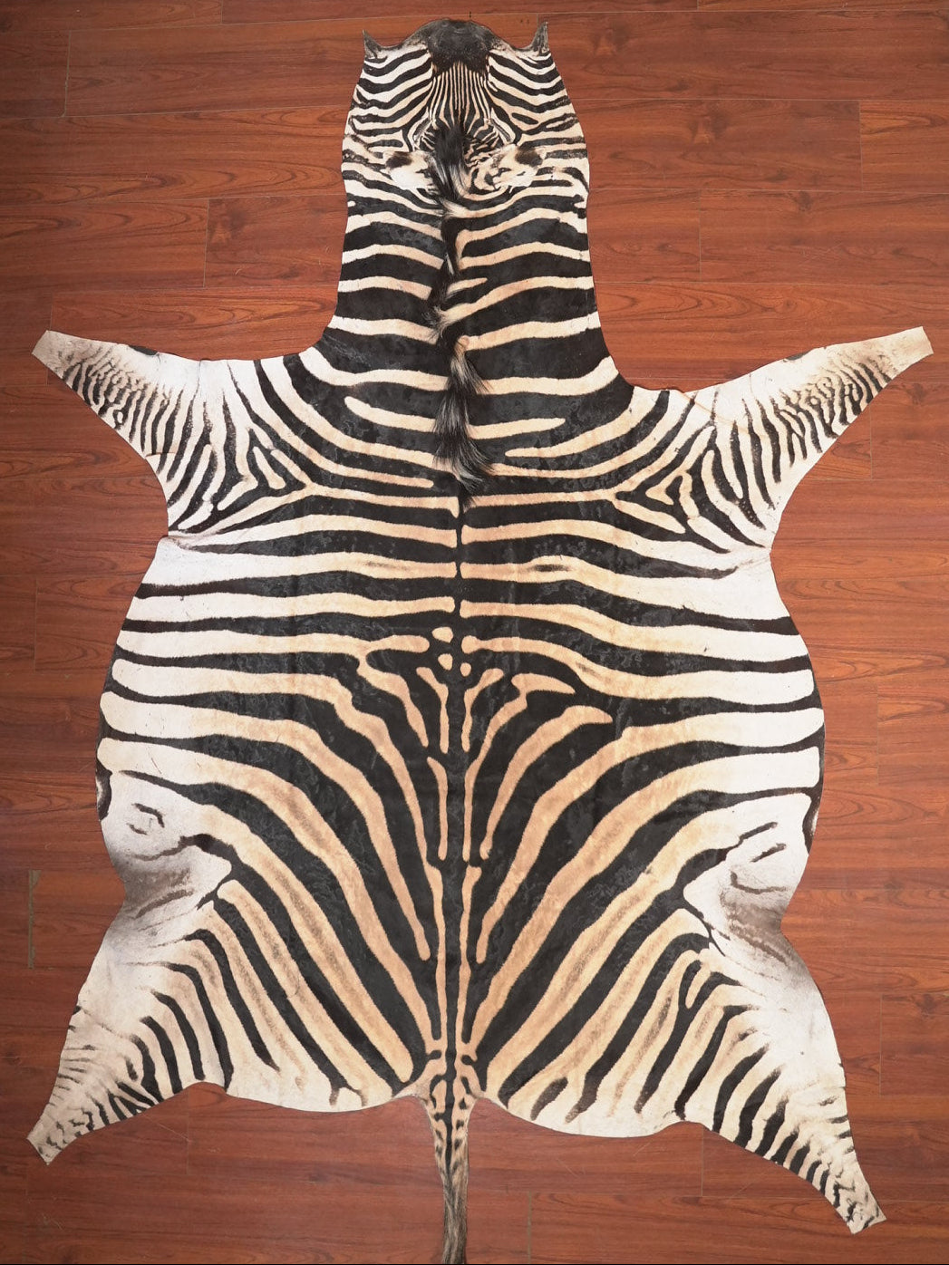 The Nguni Guy Nguni zebra hide African decor Authentic zebra skin Home decor Interior design Unique pattern Hand-selected Premium quality Natural beauty Exotic rug Genuine hide Statement piece Contemporary style Ethically sourced Sustainable decor Versatile accent Luxury rug Designer piece Modern aesthetic High-end craftsmanship Timeless elegance Designer home accents
