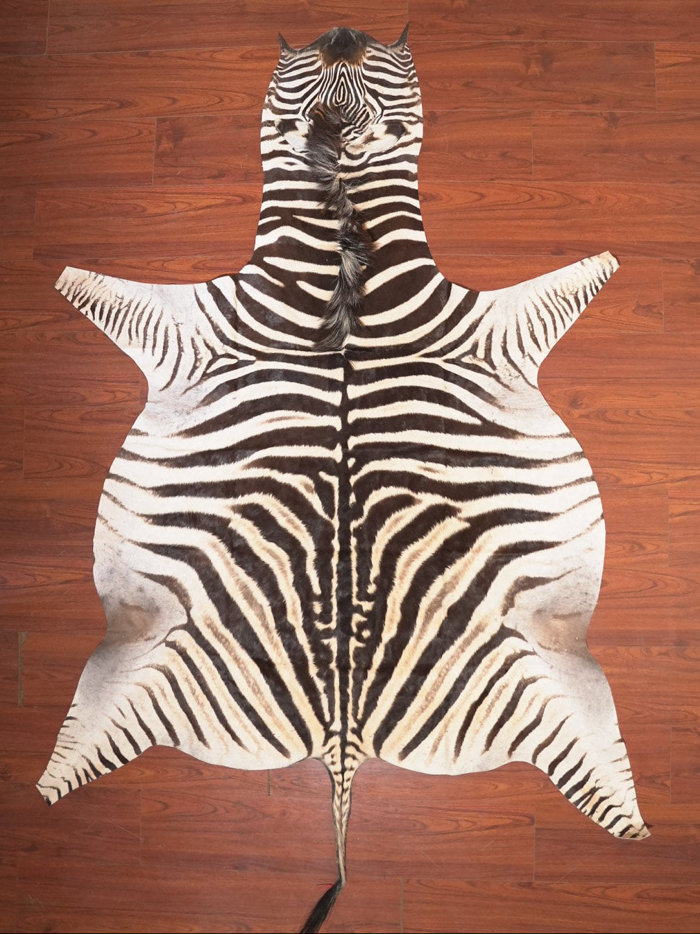The Nguni Guy Nguni zebra hide African decor Authentic zebra skin Home decor Interior design Unique pattern Hand-selected Premium quality Natural beauty Exotic rug Genuine hide Statement piece Contemporary style Ethically sourced Sustainable decor Versatile accent Luxury rug Designer piece Modern aesthetic High-end craftsmanship Timeless elegance Designer home accents