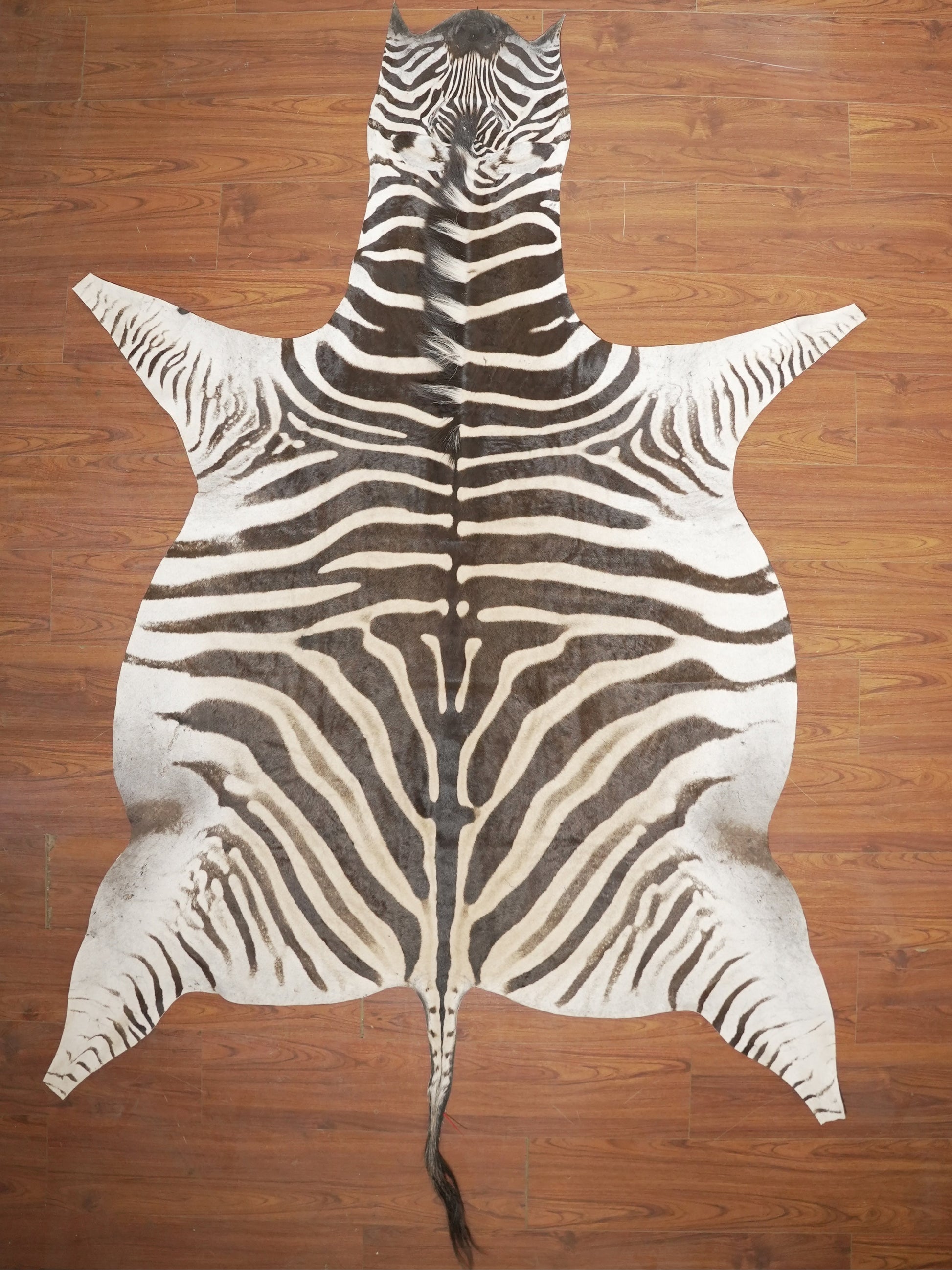 The Nguni Guy Nguni zebra hide African decor Authentic zebra skin Home decor Interior design Unique pattern Hand-selected Premium quality Natural beauty Exotic rug Genuine hide Statement piece Contemporary style Ethically sourced Sustainable decor Versatile accent Luxury rug Designer piece Modern aesthetic High-end craftsmanship Timeless elegance Designer home accents