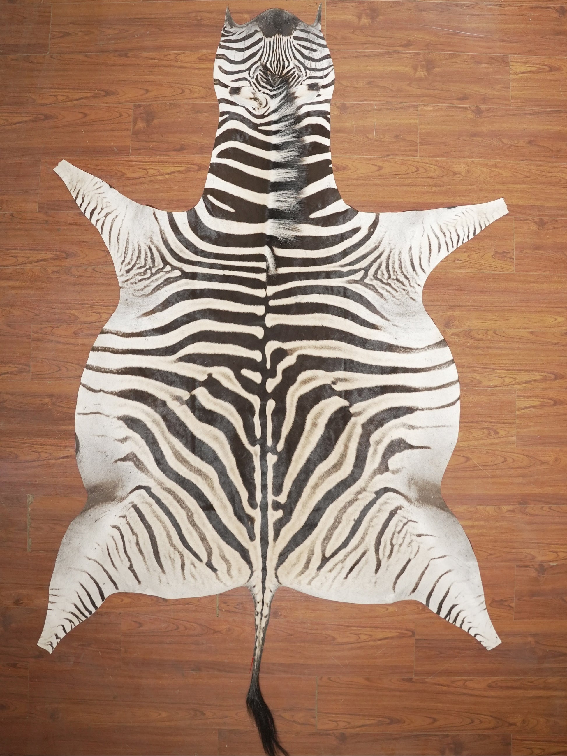 The Nguni Guy Nguni zebra hide African decor Authentic zebra skin Home decor Interior design Unique pattern Hand-selected Premium quality Natural beauty Exotic rug Genuine hide Statement piece Contemporary style Ethically sourced Sustainable decor Versatile accent Luxury rug Designer piece Modern aesthetic High-end craftsmanship Timeless elegance Designer home accents