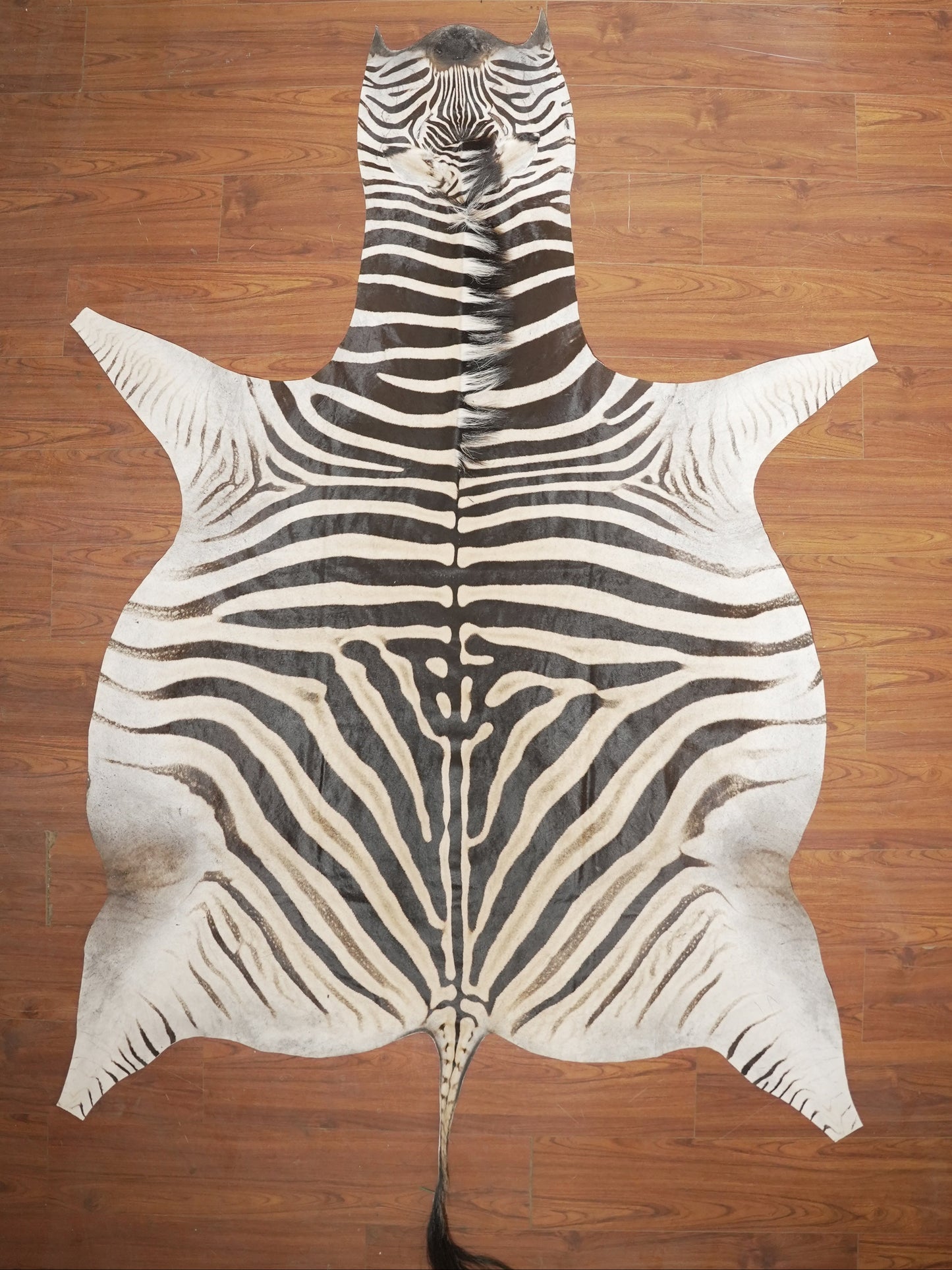 The Nguni Guy Nguni zebra hide African decor Authentic zebra skin Home decor Interior design Unique pattern Hand-selected Premium quality Natural beauty Exotic rug Genuine hide Statement piece Contemporary style Ethically sourced Sustainable decor Versatile accent Luxury rug Designer piece Modern aesthetic High-end craftsmanship Timeless elegance Designer home accents