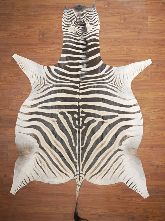 The Nguni Guy Nguni zebra hide African decor Authentic zebra skin Home decor Interior design Unique pattern Hand-selected Premium quality Natural beauty Exotic rug Genuine hide Statement piece Contemporary style Ethically sourced Sustainable decor Versatile accent Luxury rug Designer piece Modern aesthetic High-end craftsmanship Timeless elegance Designer home accents