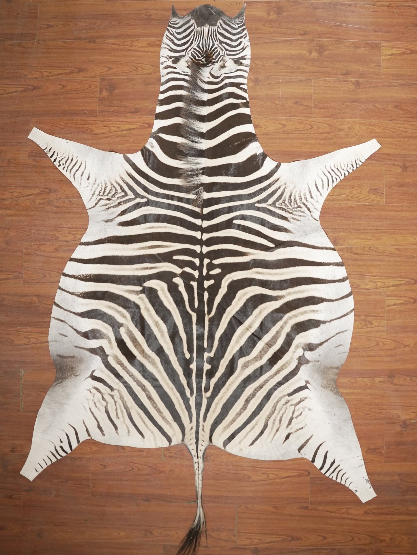 The Nguni Guy Nguni zebra hide African decor Authentic zebra skin Home decor Interior design Unique pattern Hand-selected Premium quality Natural beauty Exotic rug Genuine hide Statement piece Contemporary style Ethically sourced Sustainable decor Versatile accent Luxury rug Designer piece Modern aesthetic High-end craftsmanship Timeless elegance Designer home accents