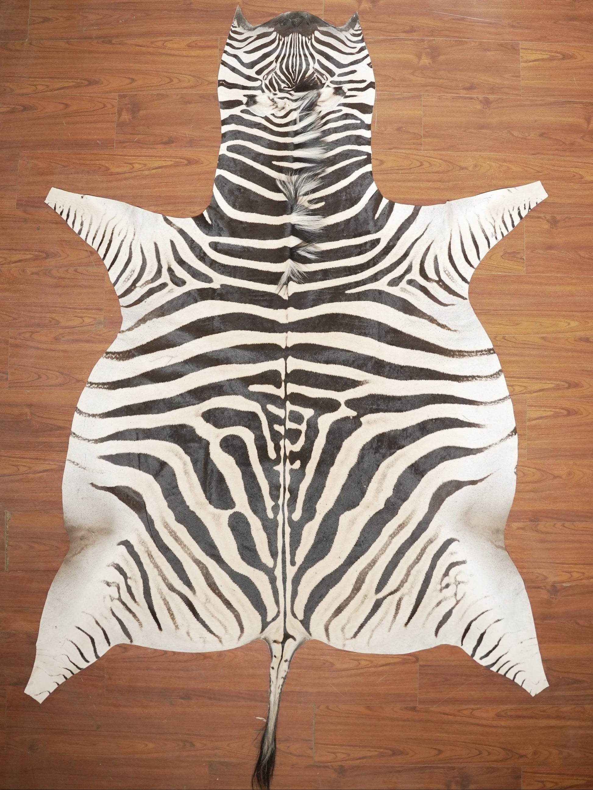 The Nguni Guy Nguni zebra hide African decor Authentic zebra skin Home decor Interior design Unique pattern Hand-selected Premium quality Natural beauty Exotic rug Genuine hide Statement piece Contemporary style Ethically sourced Sustainable decor Versatile accent Luxury rug Designer piece Modern aesthetic High-end craftsmanship Timeless elegance Designer home accents