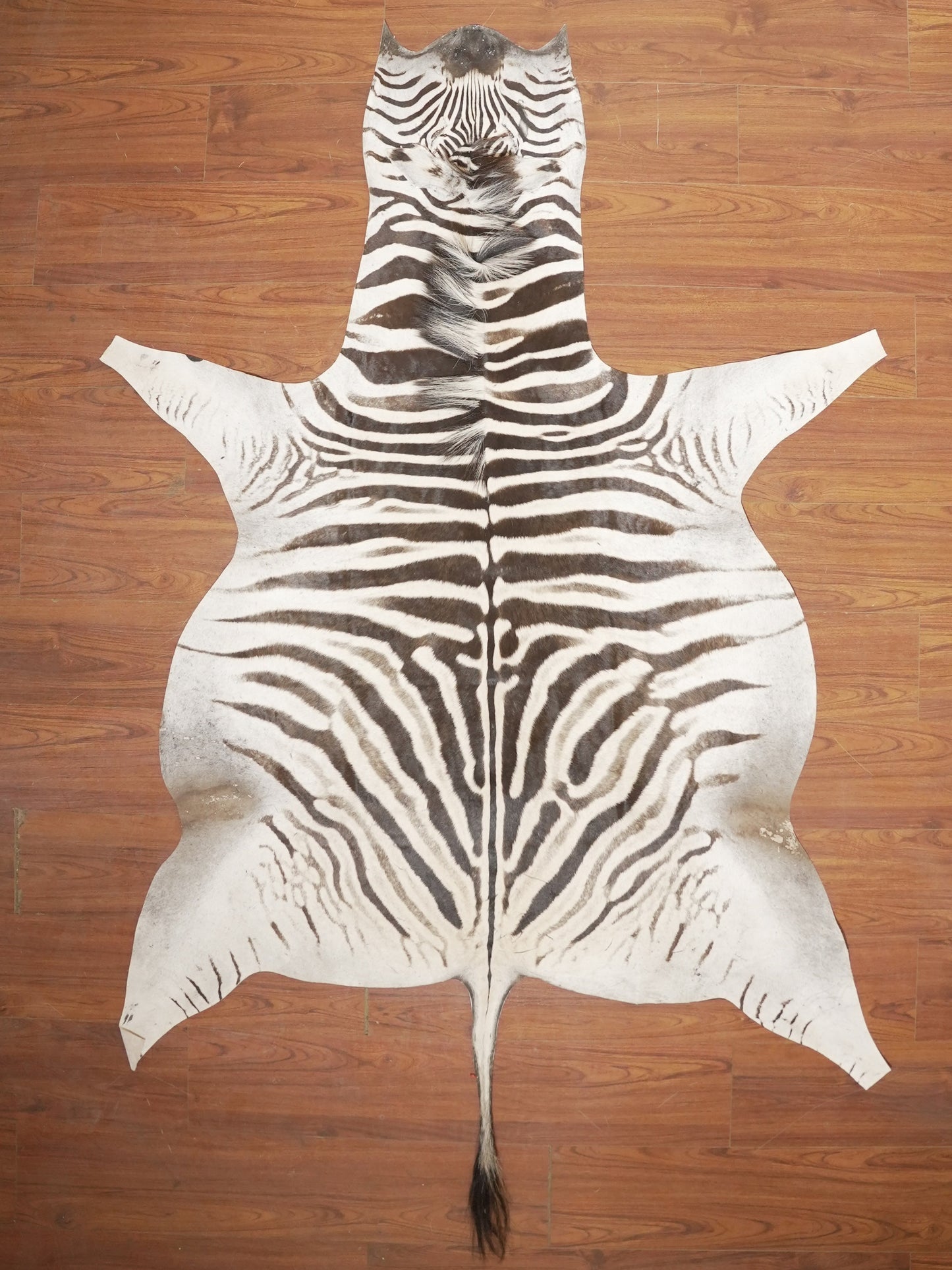 The Nguni Guy Nguni zebra hide African decor Authentic zebra skin Home decor Interior design Unique pattern Hand-selected Premium quality Natural beauty Exotic rug Genuine hide Statement piece Contemporary style Ethically sourced Sustainable decor Versatile accent Luxury rug Designer piece Modern aesthetic High-end craftsmanship Timeless elegance Designer home accents