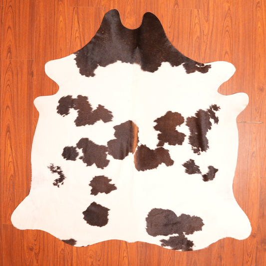 The Nguni Guy Nguni cowhide African decor Authentic cowhide Home decor Interior design Unique pattern Hand-selected Premium quality Natural beauty Exotic rug Genuine hide Statement piece Contemporary style Ethically sourced Sustainable decor Versatile accent Luxury rug Designer piece Modern aesthetic High-end craftsmanship Timeless elegance Designer home accents