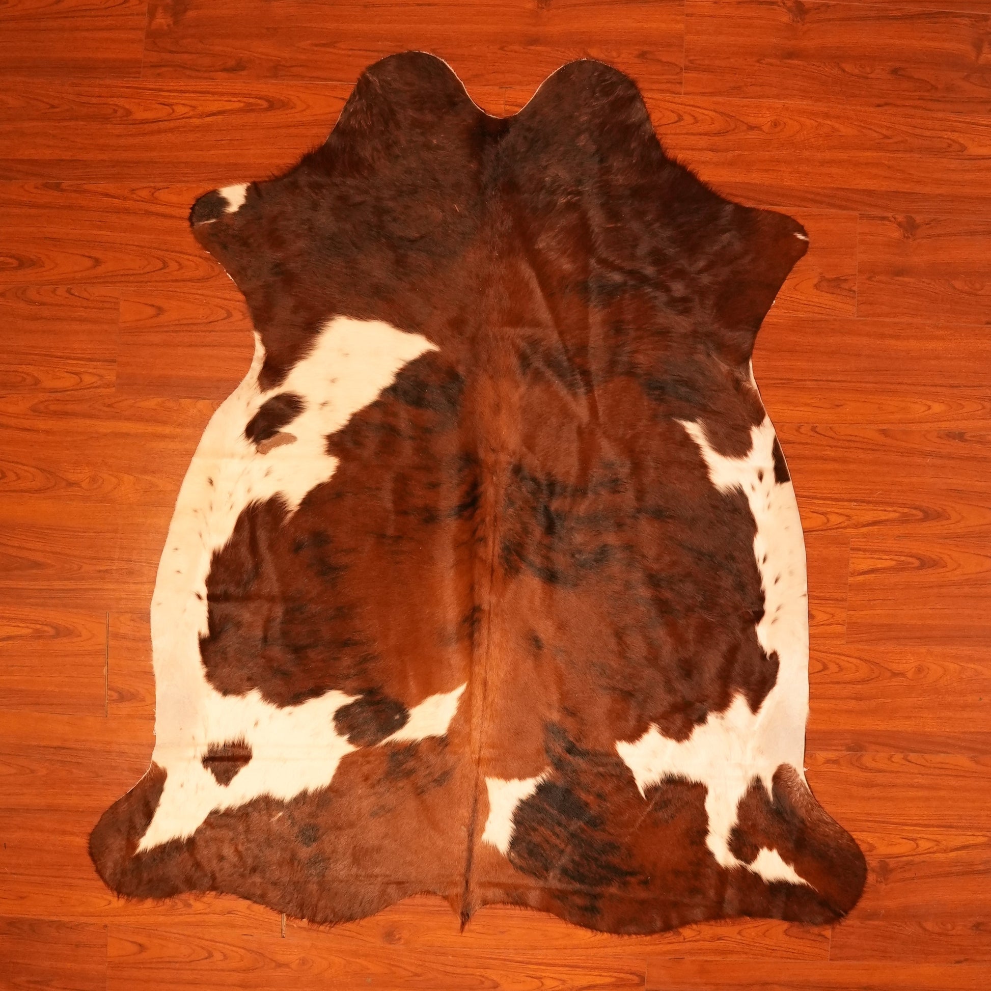 The Nguni Guy Nguni cowhide African decor Authentic cowhide Home decor Interior design Unique pattern Hand-selected Premium quality Natural beauty Exotic rug Genuine hide Statement piece Contemporary style Ethically sourced Sustainable decor Versatile accent Luxury rug Designer piece Modern aesthetic High-end craftsmanship Timeless elegance Designer home accents
