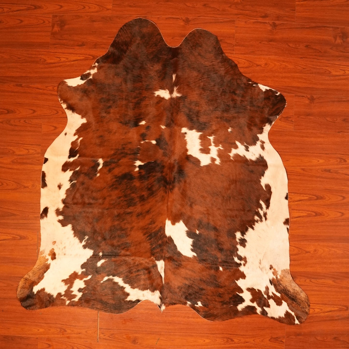 The Nguni Guy Nguni cowhide African decor Authentic cowhide Home decor Interior design Unique pattern Hand-selected Premium quality Natural beauty Exotic rug Genuine hide Statement piece Contemporary style Ethically sourced Sustainable decor Versatile accent Luxury rug Designer piece Modern aesthetic High-end craftsmanship Timeless elegance Designer home accents
