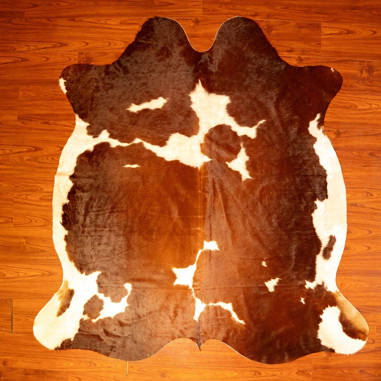 The Nguni Guy Nguni cowhide African decor Authentic cowhide Home decor Interior design Unique pattern Hand-selected Premium quality Natural beauty Exotic rug Genuine hide Statement piece Contemporary style Ethically sourced Sustainable decor Versatile accent Luxury rug Designer piece Modern aesthetic High-end craftsmanship Timeless elegance Designer home accents
