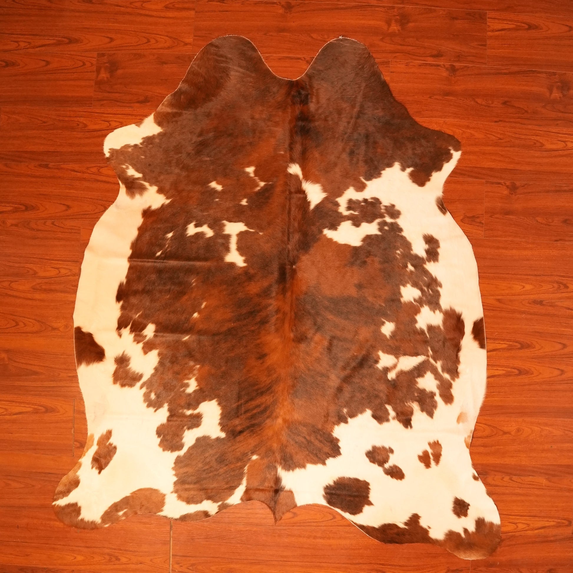The Nguni Guy Nguni cowhide African decor Authentic cowhide Home decor Interior design Unique pattern Hand-selected Premium quality Natural beauty Exotic rug Genuine hide Statement piece Contemporary style Ethically sourced Sustainable decor Versatile accent Luxury rug Designer piece Modern aesthetic High-end craftsmanship Timeless elegance Designer home accents
