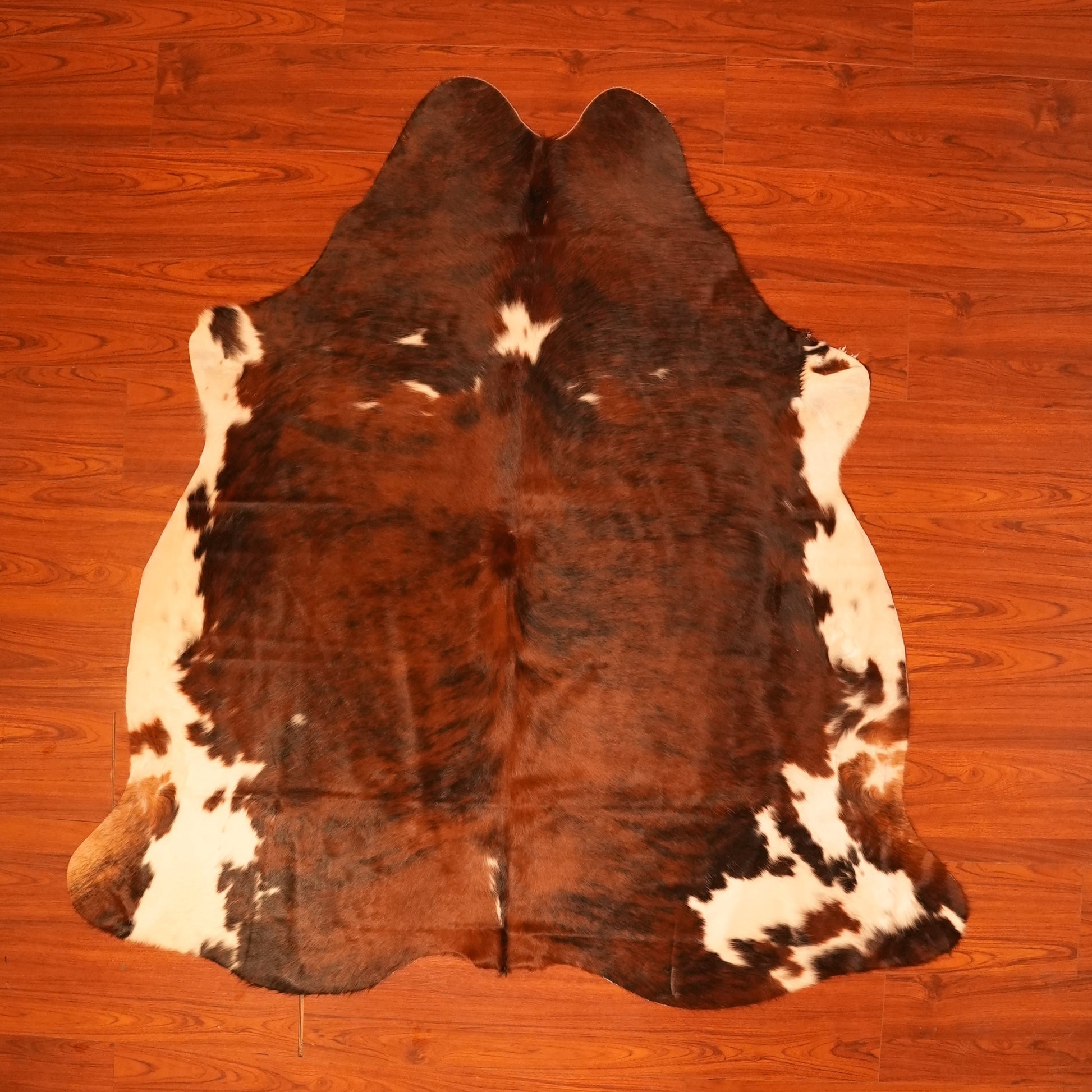 The Nguni Guy Nguni cowhide African decor Authentic cowhide Home decor Interior design Unique pattern Hand-selected Premium quality Natural beauty Exotic rug Genuine hide Statement piece Contemporary style Ethically sourced Sustainable decor Versatile accent Luxury rug Designer piece Modern aesthetic High-end craftsmanship Timeless elegance Designer home accents
