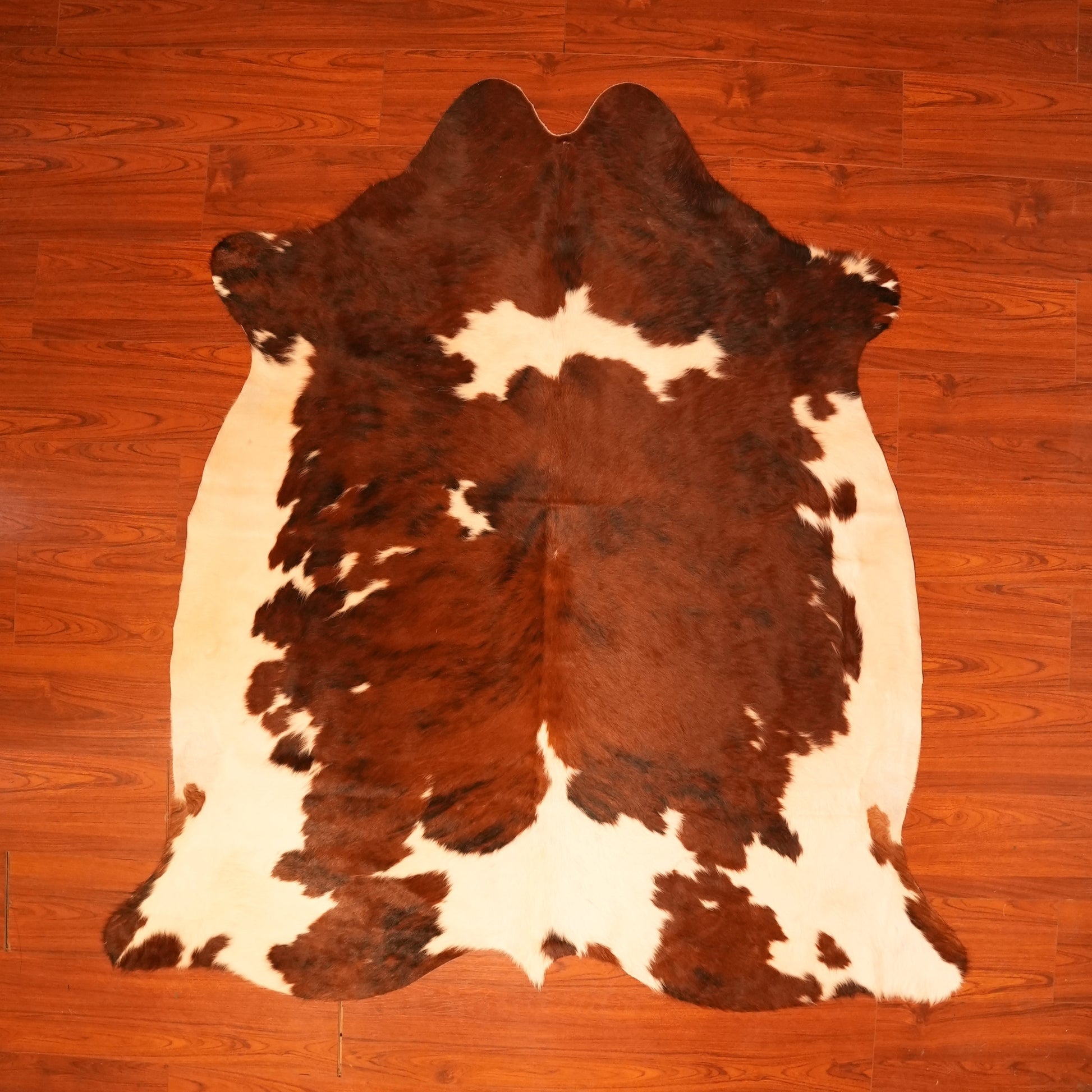 The Nguni Guy Nguni cowhide African decor Authentic cowhide Home decor Interior design Unique pattern Hand-selected Premium quality Natural beauty Exotic rug Genuine hide Statement piece Contemporary style Ethically sourced Sustainable decor Versatile accent Luxury rug Designer piece Modern aesthetic High-end craftsmanship Timeless elegance Designer home accents
