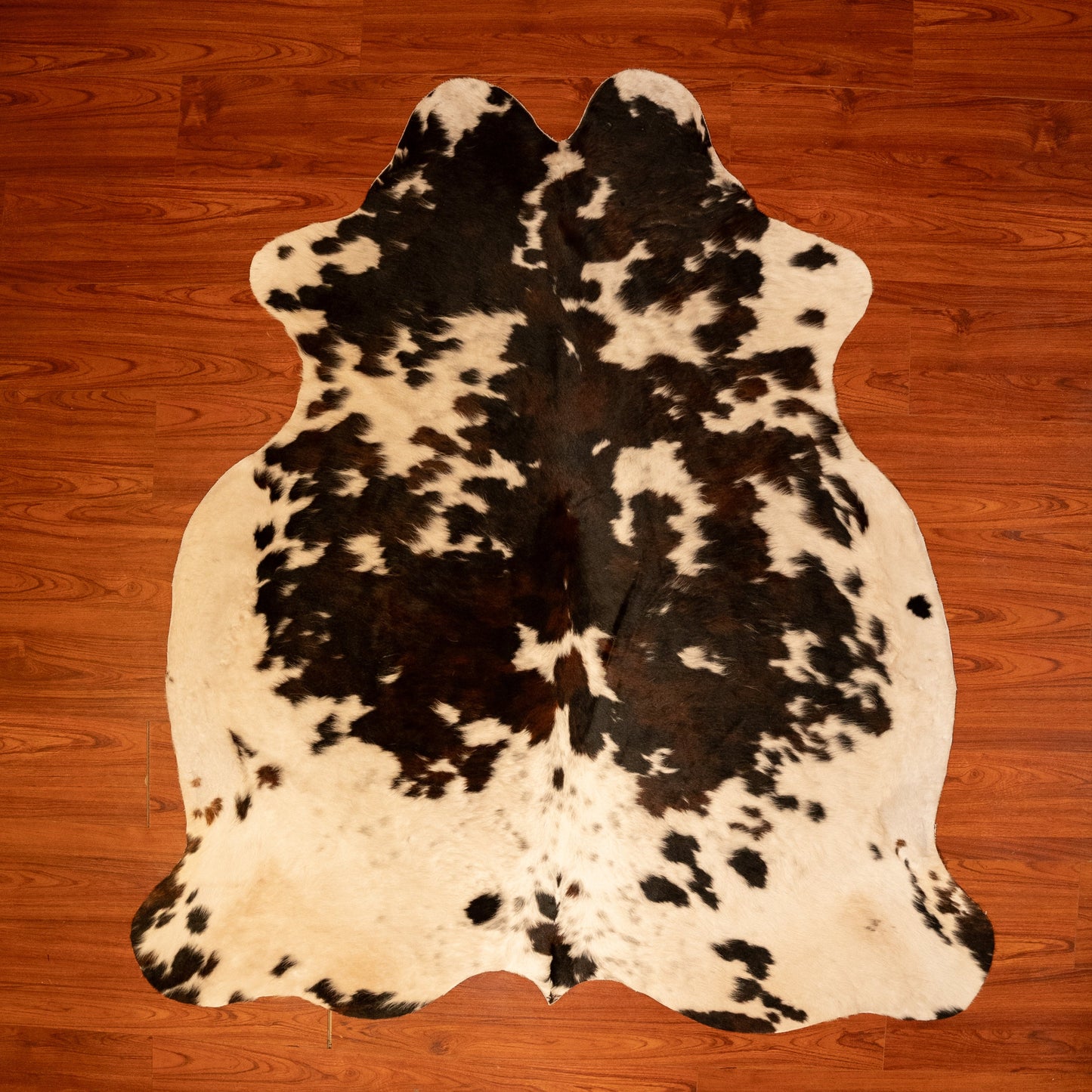 The Nguni Guy Nguni cowhide African decor Authentic cowhide Home decor Interior design Unique pattern Hand-selected Premium quality Natural beauty Exotic rug Genuine hide Statement piece Contemporary style Ethically sourced Sustainable decor Versatile accent Luxury rug Designer piece Modern aesthetic High-end craftsmanship Timeless elegance Designer home accents