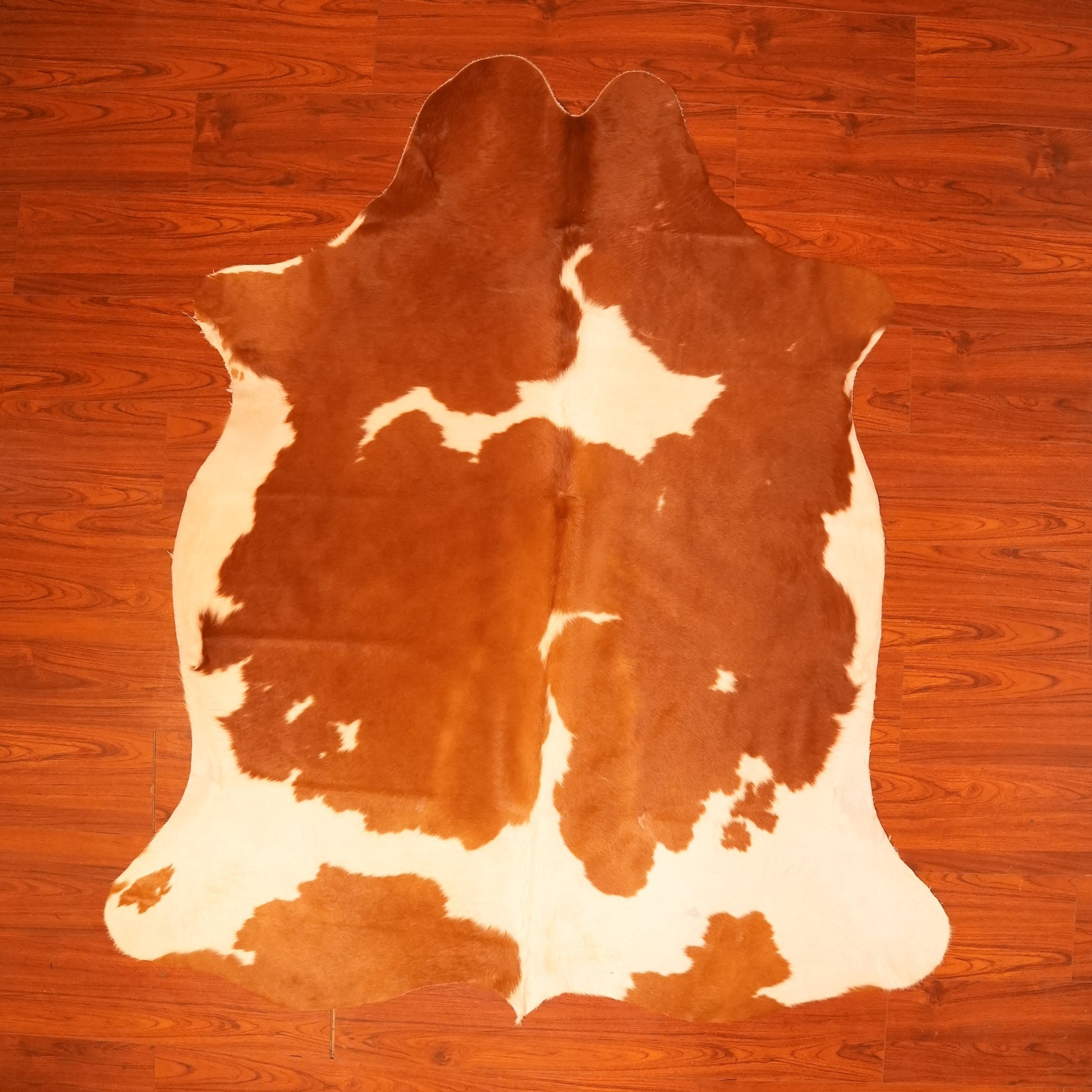 The Nguni Guy Nguni cowhide African decor Authentic cowhide Home decor Interior design Unique pattern Hand-selected Premium quality Natural beauty Exotic rug Genuine hide Statement piece Contemporary style Ethically sourced Sustainable decor Versatile accent Luxury rug Designer piece Modern aesthetic High-end craftsmanship Timeless elegance Designer home accents
