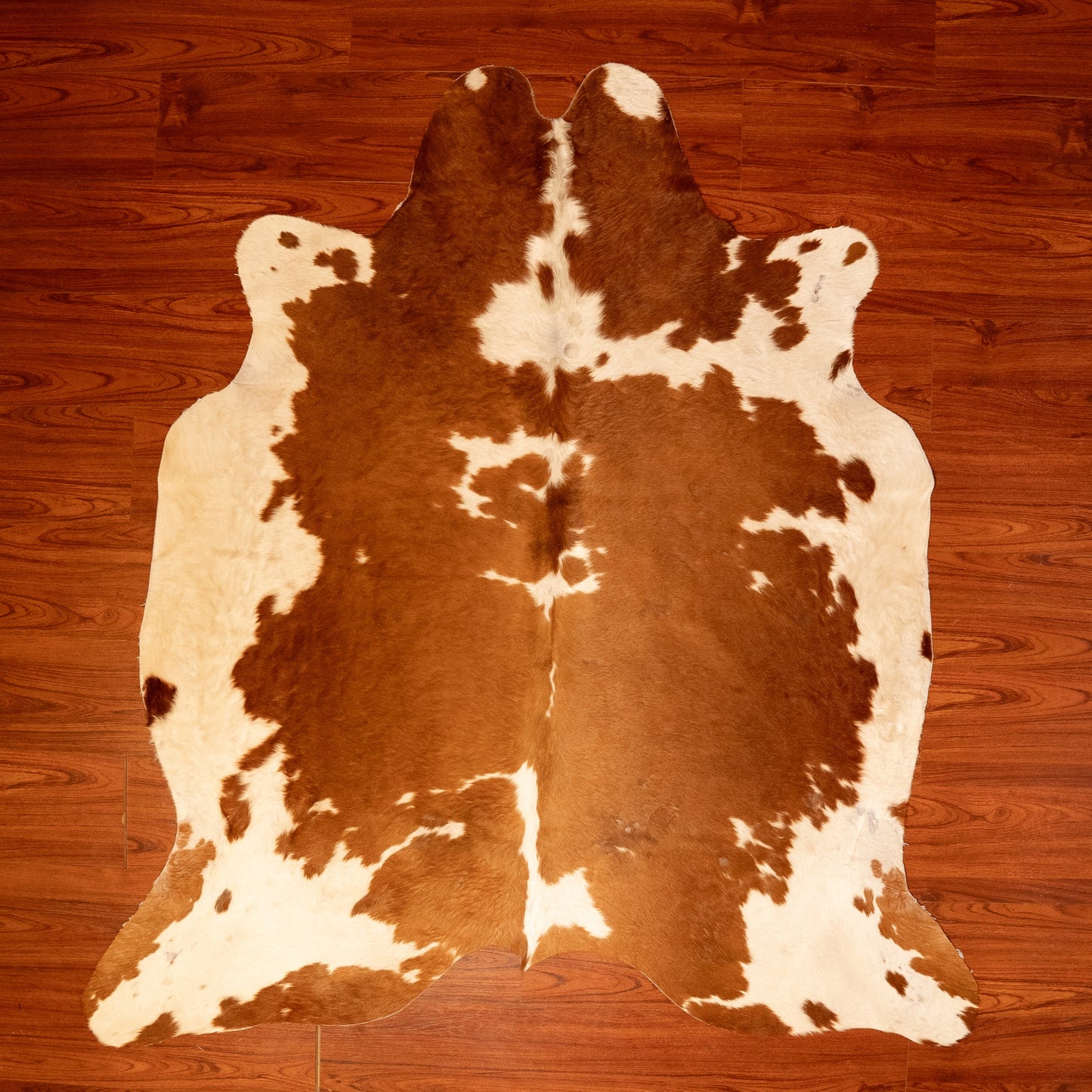 The Nguni Guy Nguni cowhide African decor Authentic cowhide Home decor Interior design Unique pattern Hand-selected Premium quality Natural beauty Exotic rug Genuine hide Statement piece Contemporary style Ethically sourced Sustainable decor Versatile accent Luxury rug Designer piece Modern aesthetic High-end craftsmanship Timeless elegance Designer home accents
