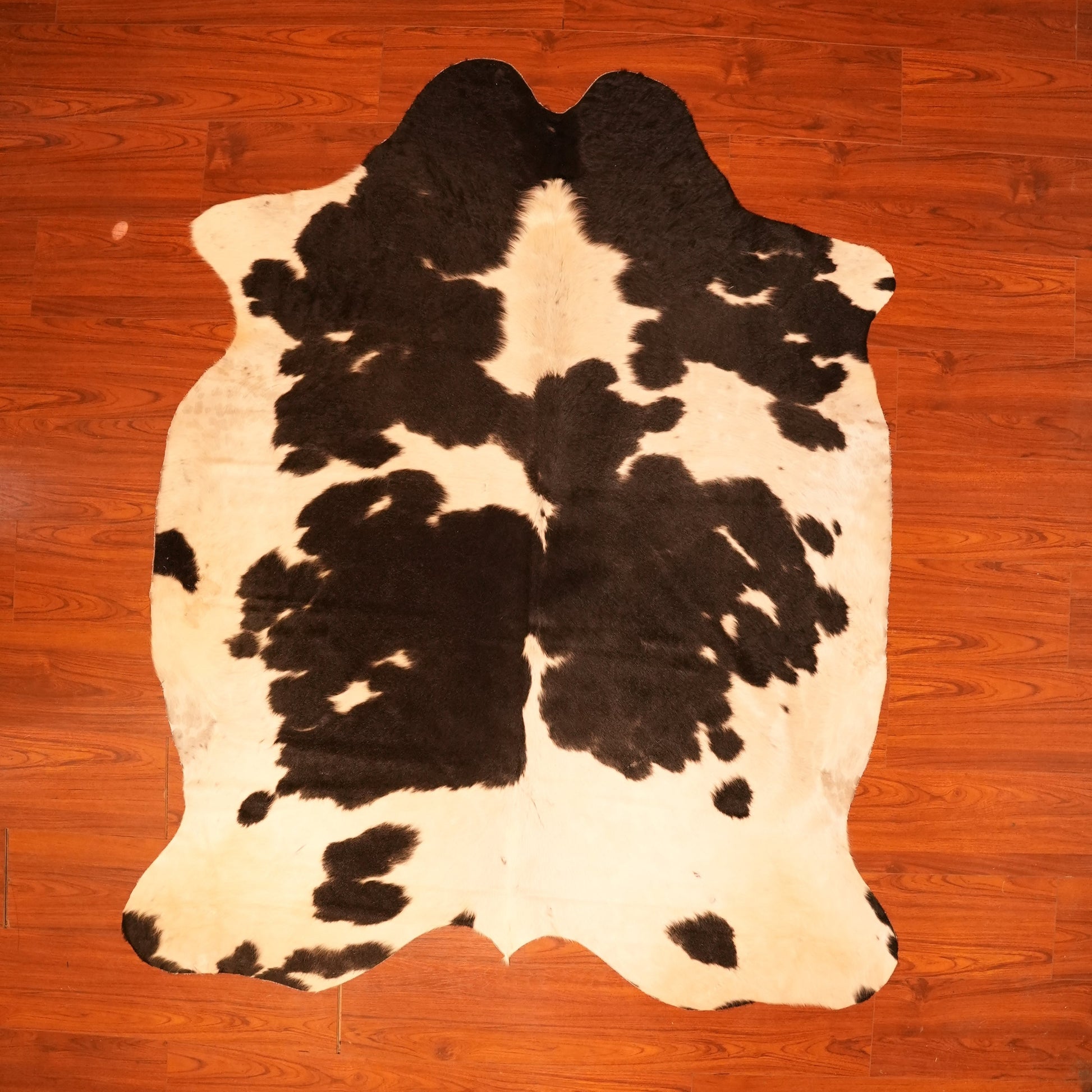 The Nguni Guy Nguni cowhide African decor Authentic cowhide Home decor Interior design Unique pattern Hand-selected Premium quality Natural beauty Exotic rug Genuine hide Statement piece Contemporary style Ethically sourced Sustainable decor Versatile accent Luxury rug Designer piece Modern aesthetic High-end craftsmanship Timeless elegance Designer home accents
