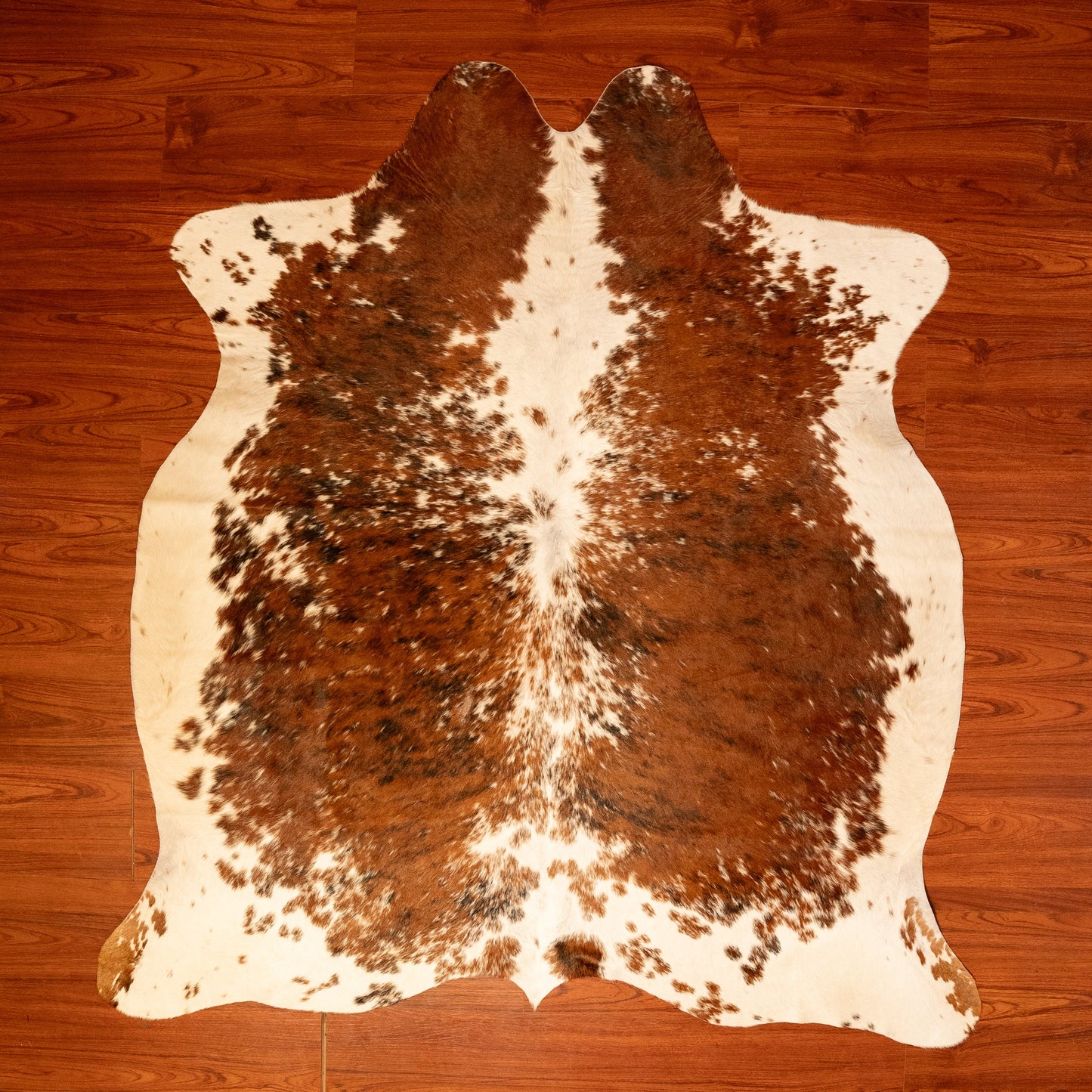 The Nguni Guy Nguni cowhide African decor Authentic cowhide Home decor Interior design Unique pattern Hand-selected Premium quality Natural beauty Exotic rug Genuine hide Statement piece Contemporary style Ethically sourced Sustainable decor Versatile accent Luxury rug Designer piece Modern aesthetic High-end craftsmanship Timeless elegance Designer home accents
