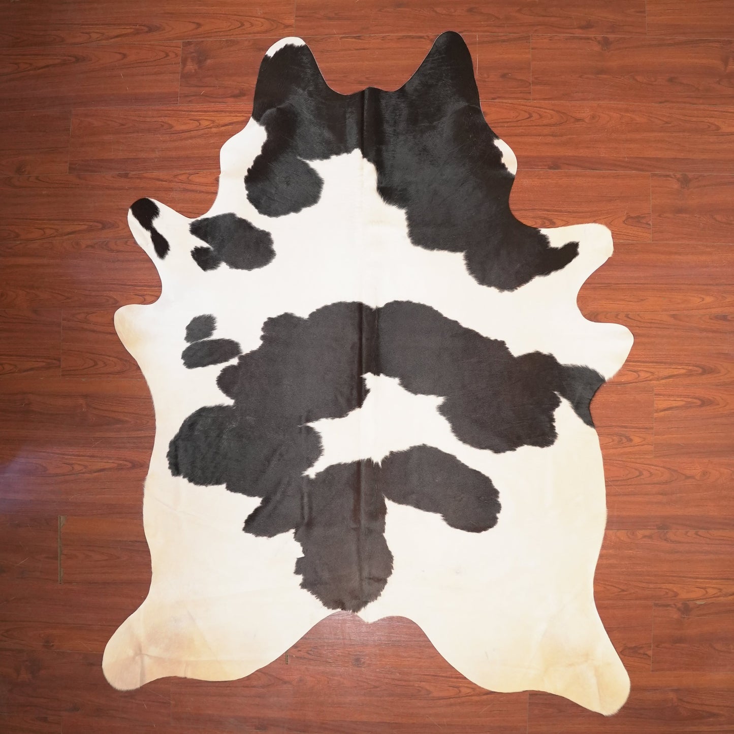 The Nguni Guy Nguni cowhide African decor Authentic cowhide Home decor Interior design Unique pattern Hand-selected Premium quality Natural beauty Exotic rug Genuine hide Statement piece Contemporary style Ethically sourced Sustainable decor Versatile accent Luxury rug Designer piece Modern aesthetic High-end craftsmanship Timeless elegance Designer home accents
