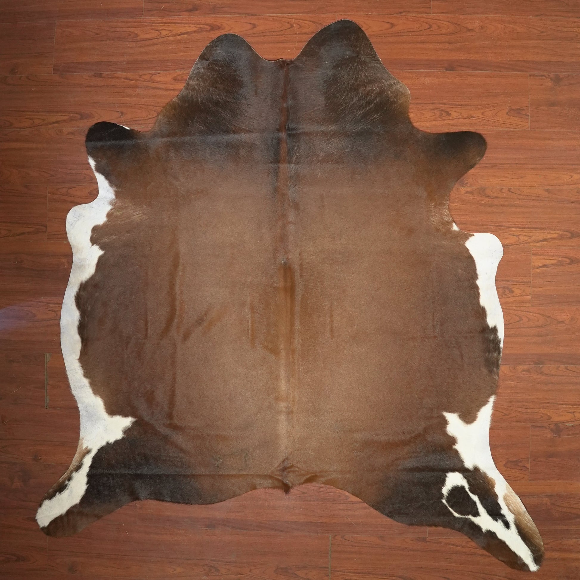 The Nguni Guy Nguni cowhide African decor Authentic cowhide Home decor Interior design Unique pattern Hand-selected Premium quality Natural beauty Exotic rug Genuine hide Statement piece Contemporary style Ethically sourced Sustainable decor Versatile accent Luxury rug Designer piece Modern aesthetic High-end craftsmanship Timeless elegance Designer home accents
