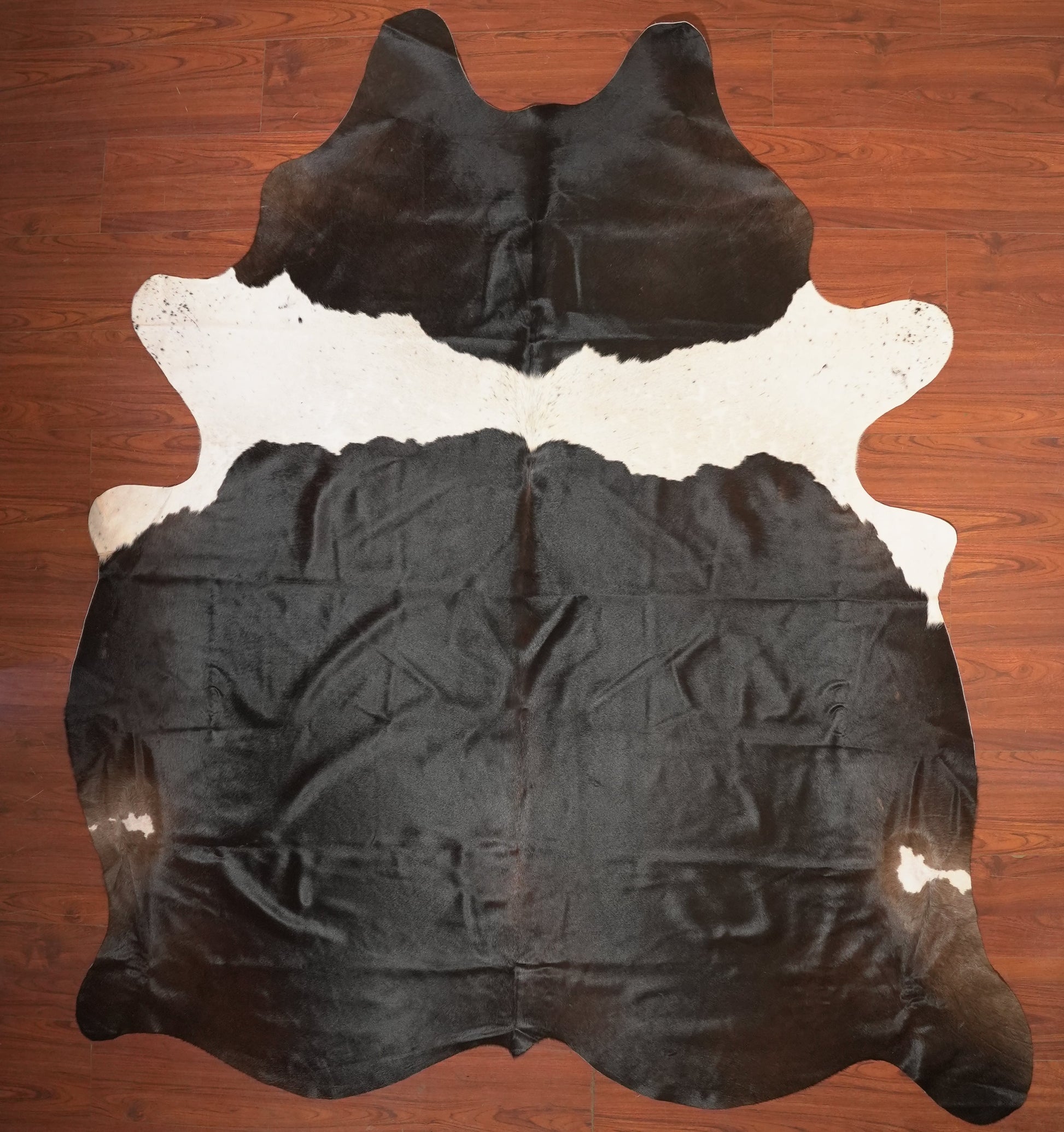 The Nguni Guy Nguni cowhide African decor Authentic cowhide Home decor Interior design Unique pattern Hand-selected Premium quality Natural beauty Exotic rug Genuine hide Statement piece Contemporary style Ethically sourced Sustainable decor Versatile accent Luxury rug Designer piece Modern aesthetic High-end craftsmanship Timeless elegance Designer home accents
