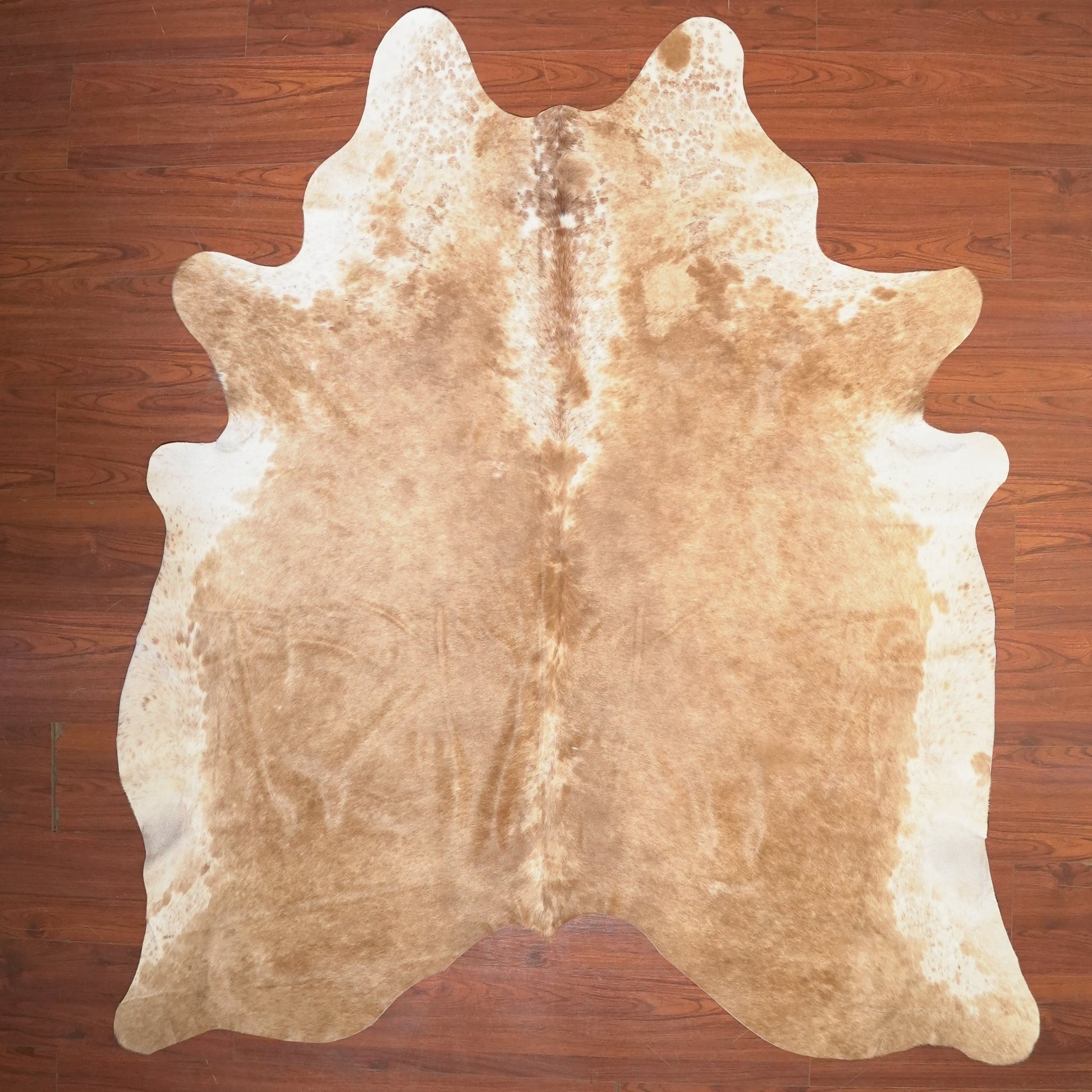 The Nguni Guy Nguni cowhide African decor Authentic cowhide Home decor Interior design Unique pattern Hand-selected Premium quality Natural beauty Exotic rug Genuine hide Statement piece Contemporary style Ethically sourced Sustainable decor Versatile accent Luxury rug Designer piece Modern aesthetic High-end craftsmanship Timeless elegance Designer home accents
