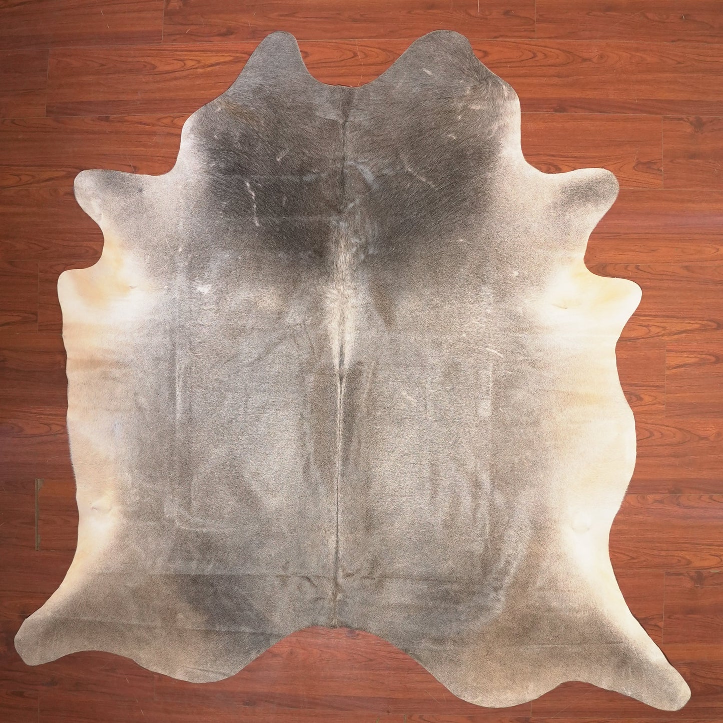 The Nguni Guy Nguni cowhide African decor Authentic cowhide Home decor Interior design Unique pattern Hand-selected Premium quality Natural beauty Exotic rug Genuine hide Statement piece Contemporary style Ethically sourced Sustainable decor Versatile accent Luxury rug Designer piece Modern aesthetic High-end craftsmanship Timeless elegance Designer home accents
