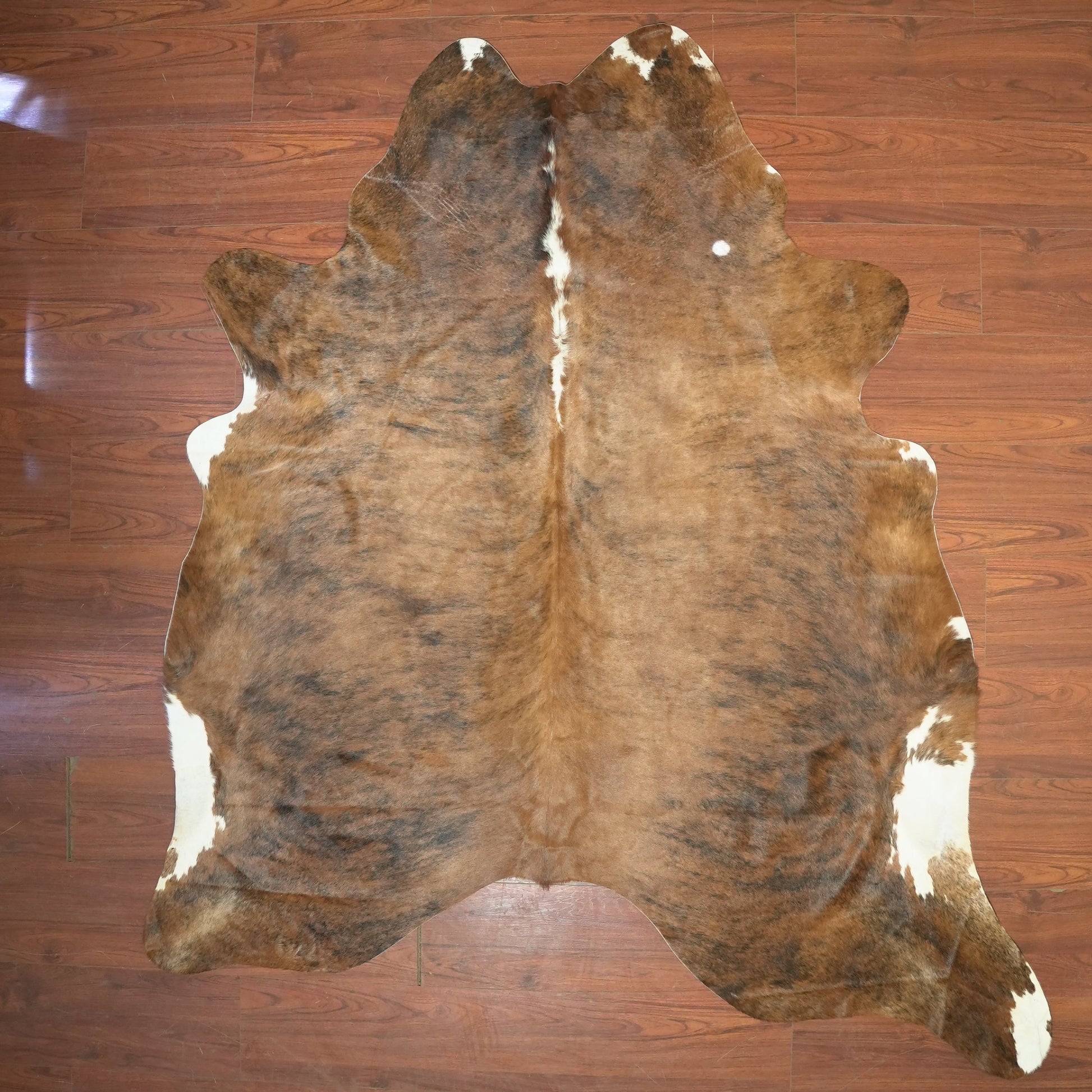 The Nguni Guy Nguni cowhide African decor Authentic cowhide Home decor Interior design Unique pattern Hand-selected Premium quality Natural beauty Exotic rug Genuine hide Statement piece Contemporary style Ethically sourced Sustainable decor Versatile accent Luxury rug Designer piece Modern aesthetic High-end craftsmanship Timeless elegance Designer home accents
