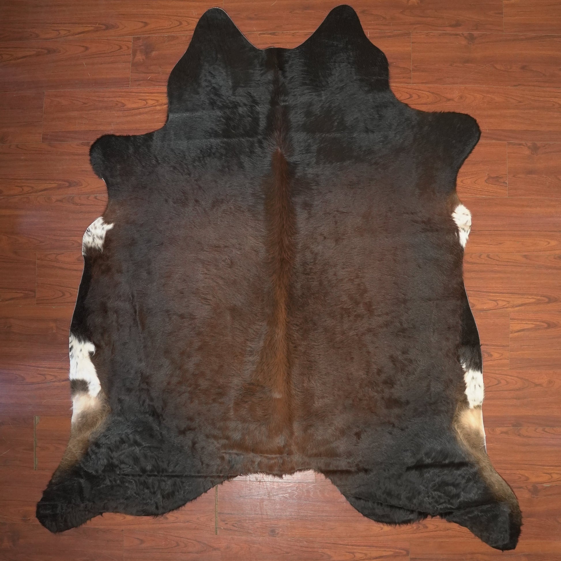 The Nguni Guy Nguni cowhide African decor Authentic cowhide Home decor Interior design Unique pattern Hand-selected Premium quality Natural beauty Exotic rug Genuine hide Statement piece Contemporary style Ethically sourced Sustainable decor Versatile accent Luxury rug Designer piece Modern aesthetic High-end craftsmanship Timeless elegance Designer home accents
